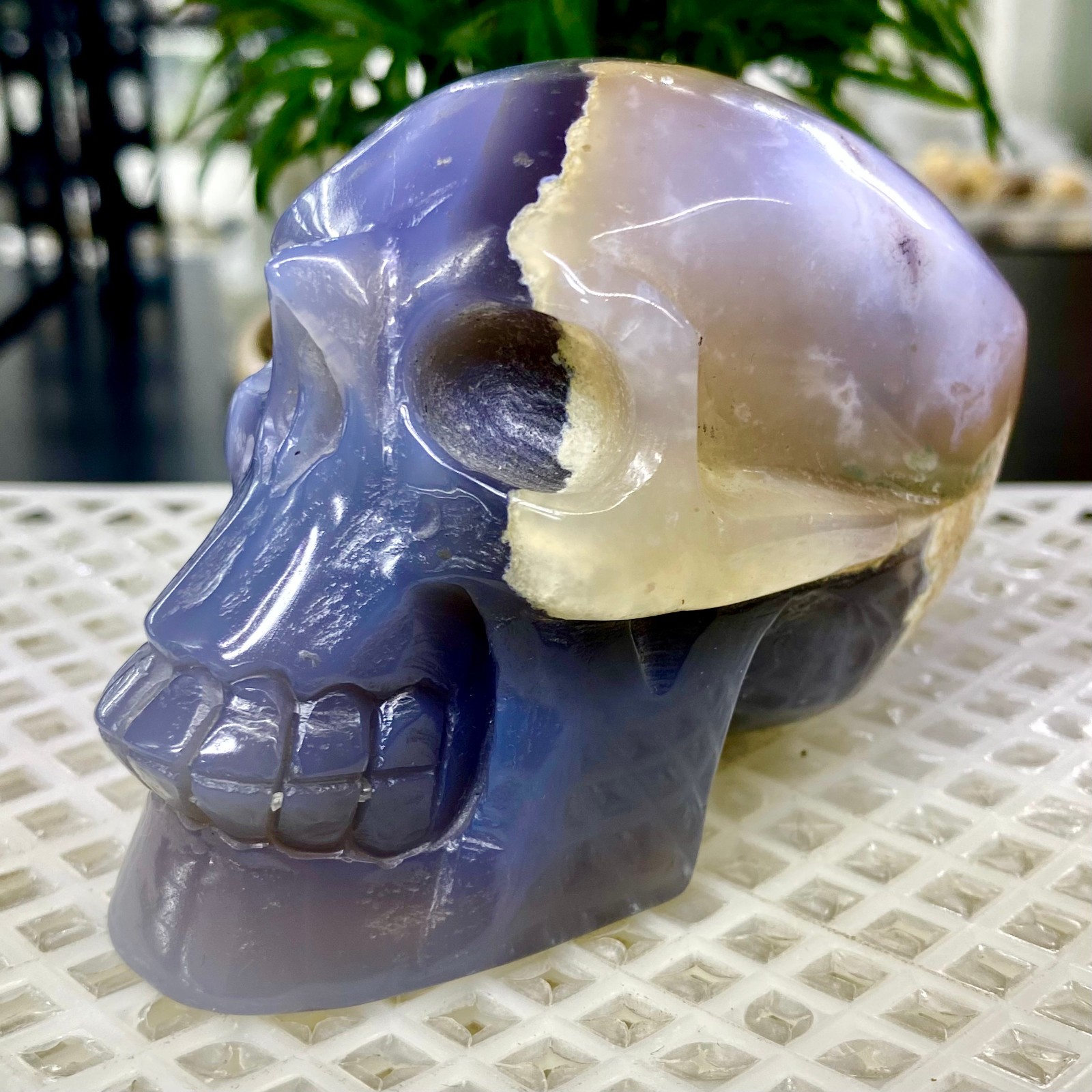 465G Natural Crystal Rare Banded Blue Flower Agate Skull Carving