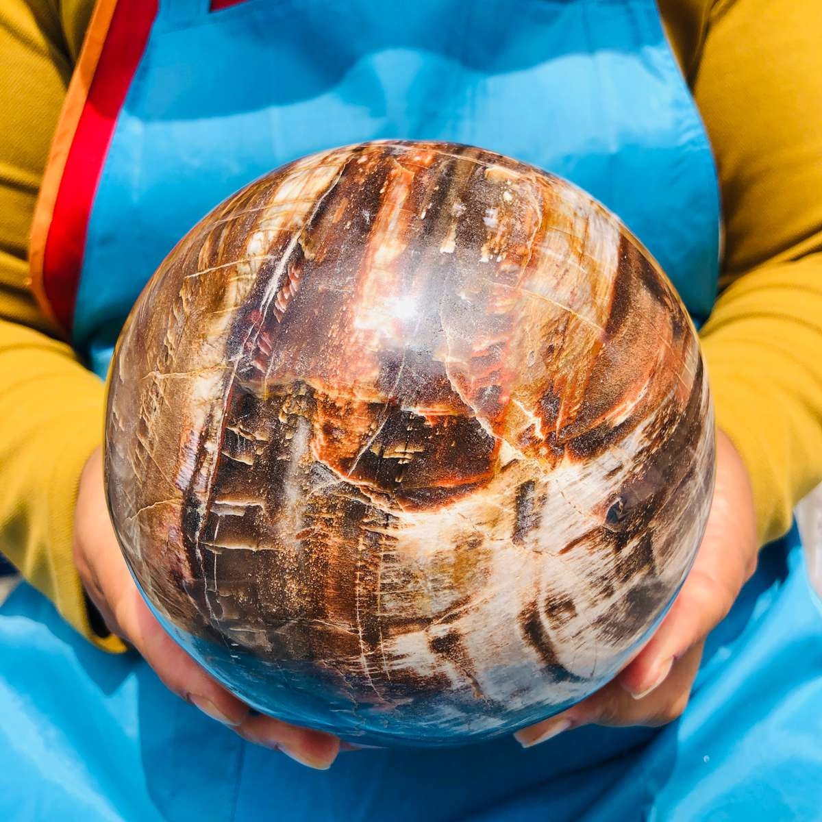 7.72LB Rare Natural Petrified Wood Ball Crystal Quartz Mineral Healing 4709