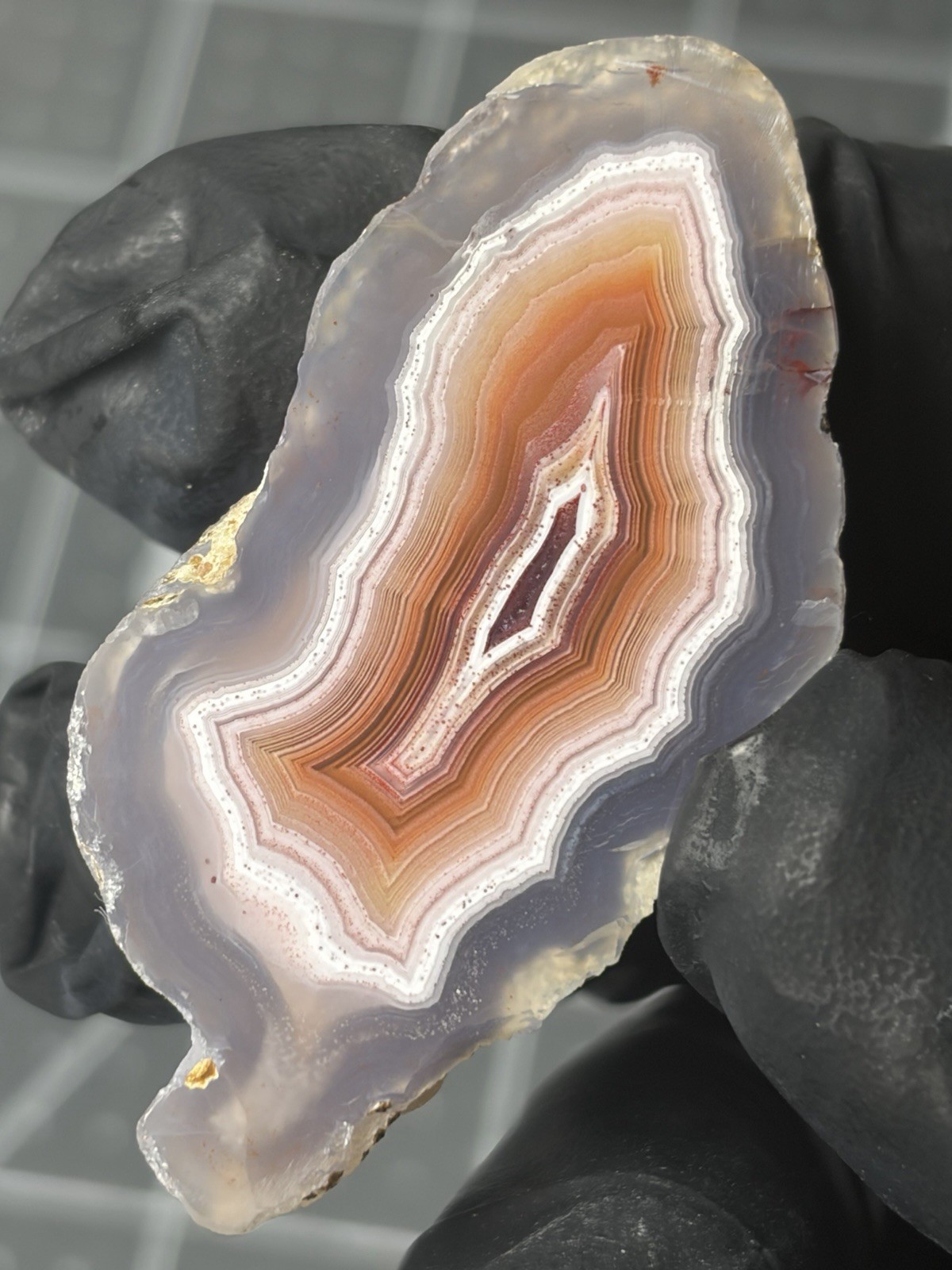 Laguna Agate Excellent Banding Mexico Polished Specimen
