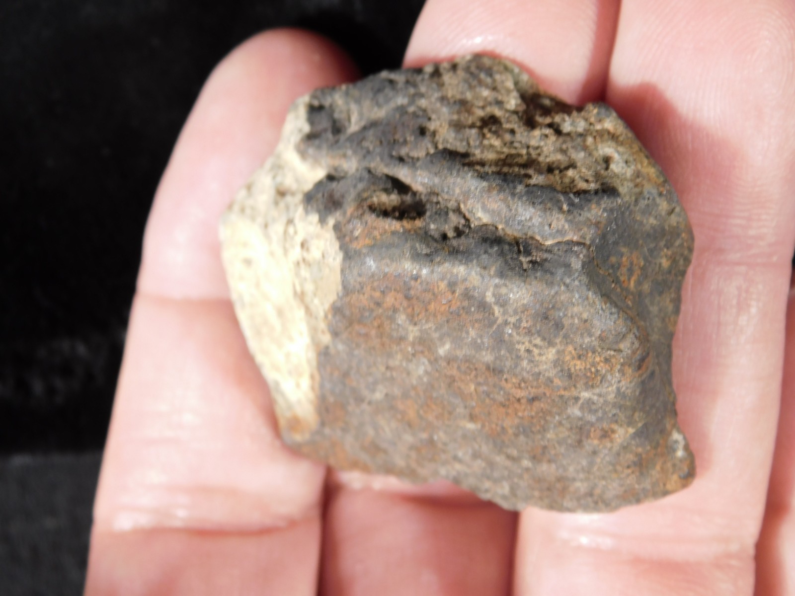 Stony METEORITE With Dark Fusion Crust 100% Natural Fell in Libya 42.2gr