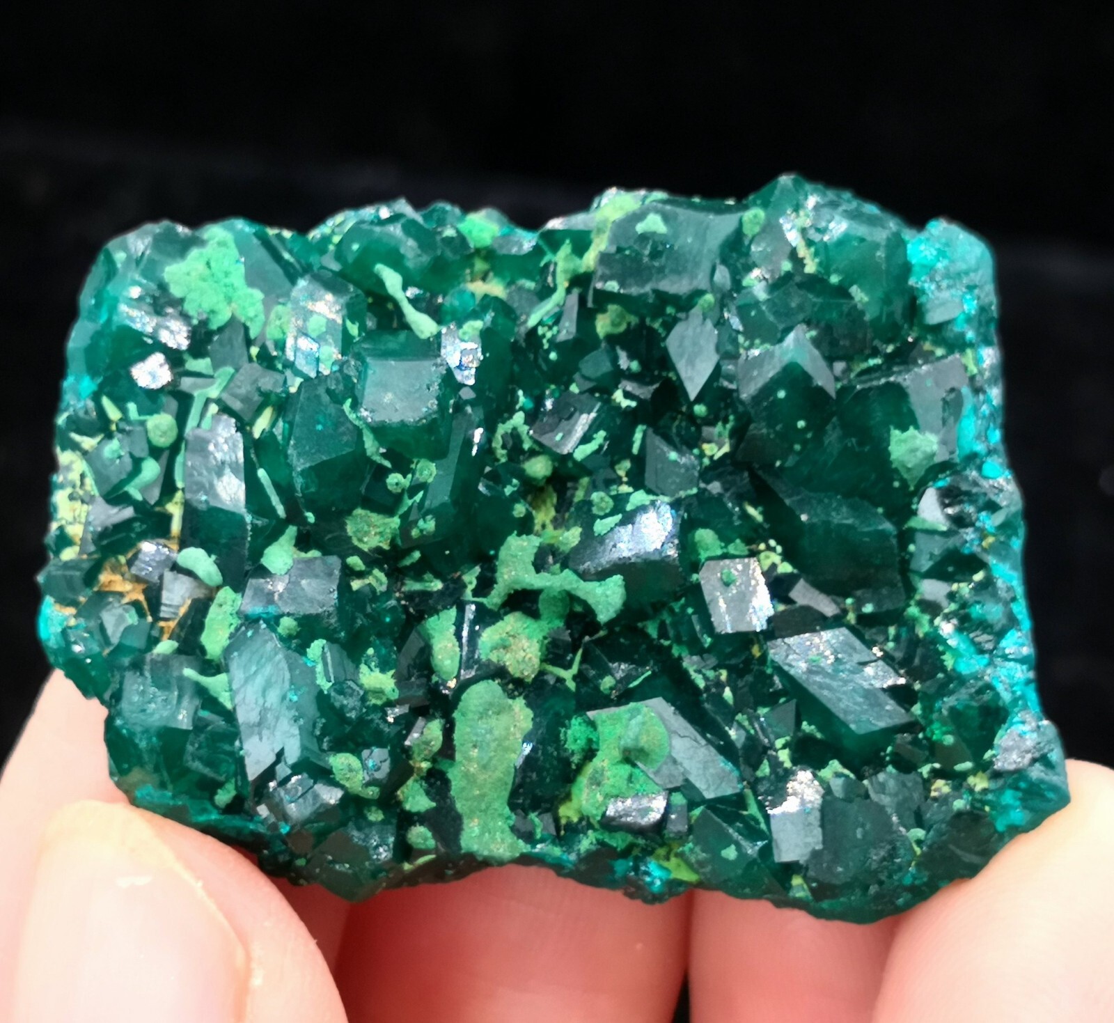 38mm Malachite on Gemmy Dioptase mined from Congo, Natural Mineral Specimen