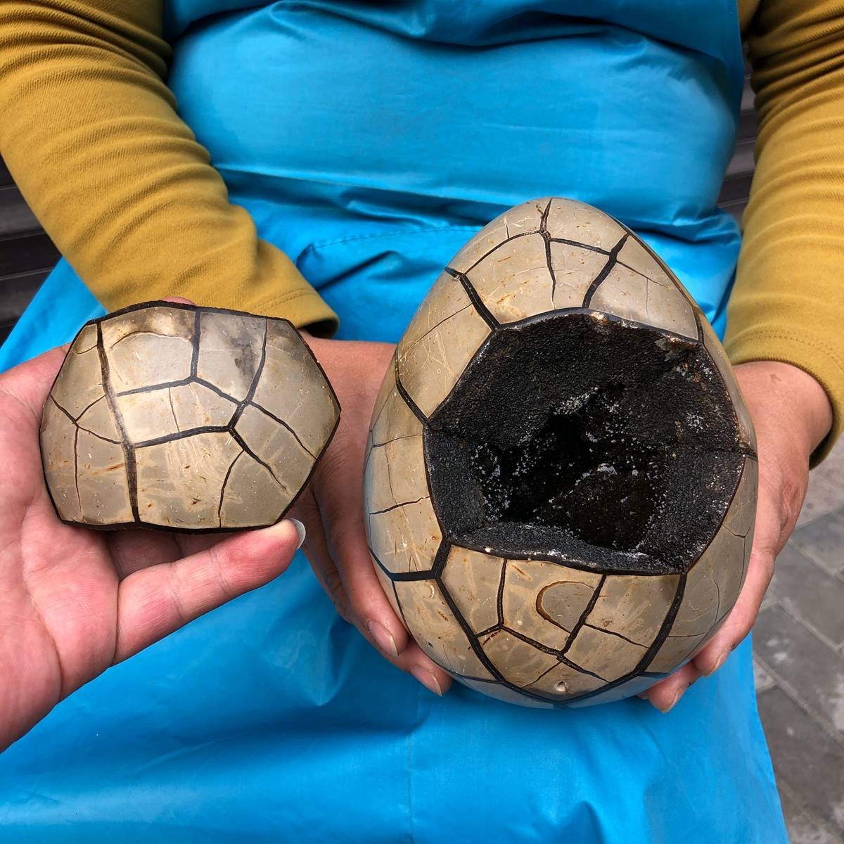7.23LB Natural Septarian Dragon Egg Geode with Lid Reiki Energy Healing Crystal