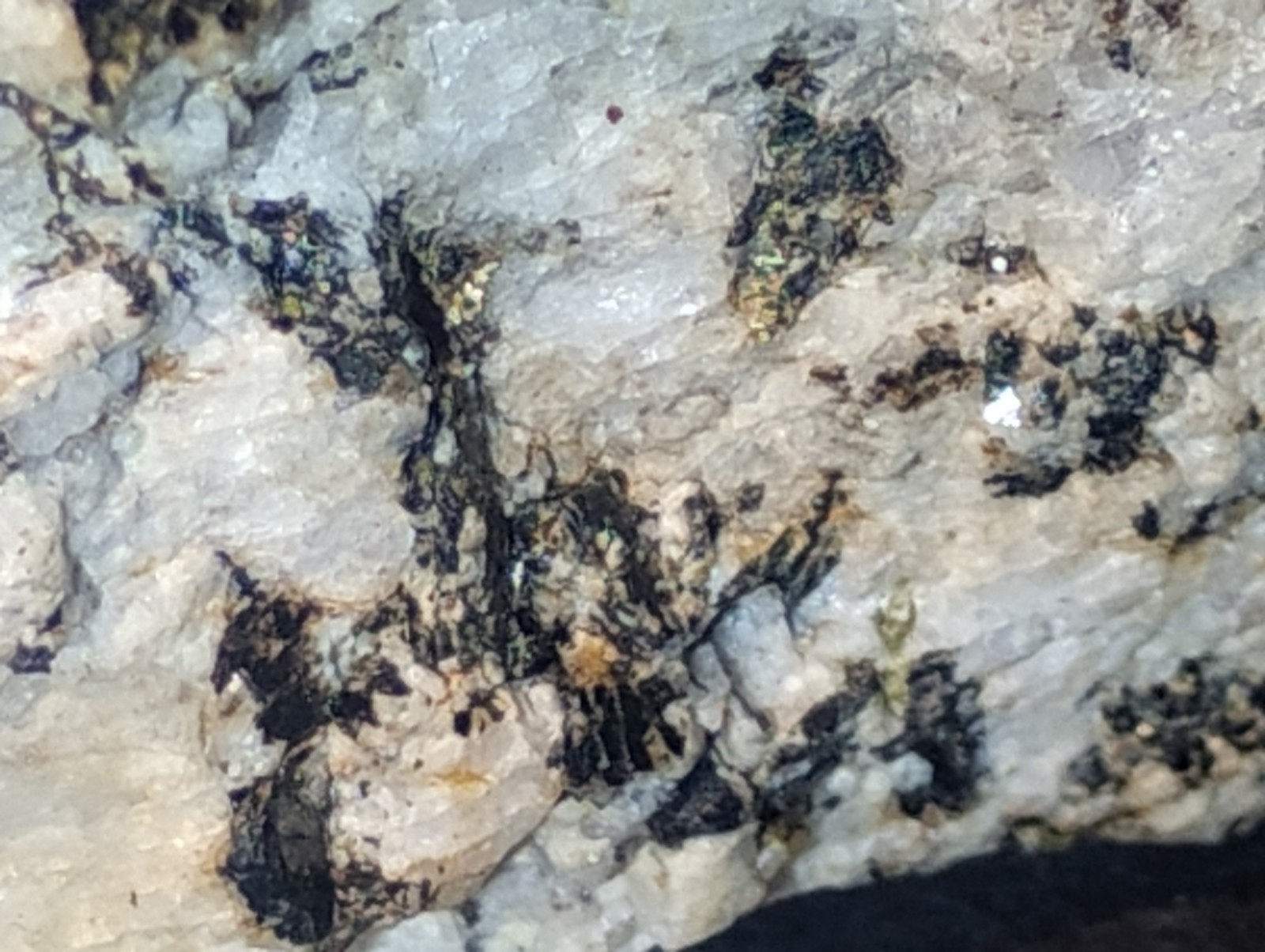 Polymetallic Ore Matrix Quartz, Pyrite & Silver/Black Sulfides – Blue Mountain?
