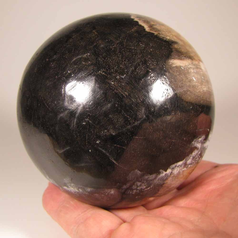 3.4″ PETRIFIED WOOD Sphere Ball w/ Stand – Indonesia – 87mm – 1.9 lbs.