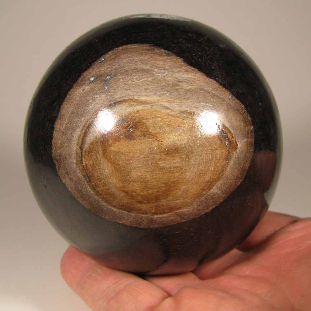 3.4″ PETRIFIED WOOD Sphere Ball w/ Stand – Indonesia – 87mm – 1.9 lbs.