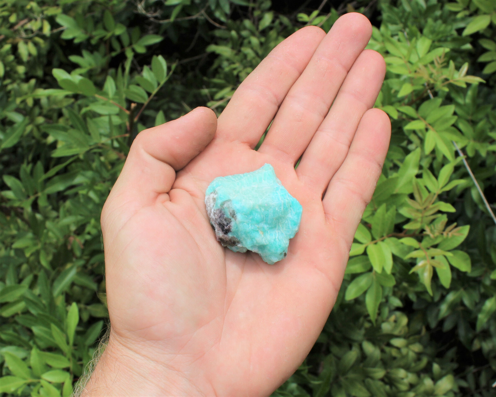 Raw Natural Amazonite Crystals: Choose How Many Pieces (Rough Amazonite Crystal)
