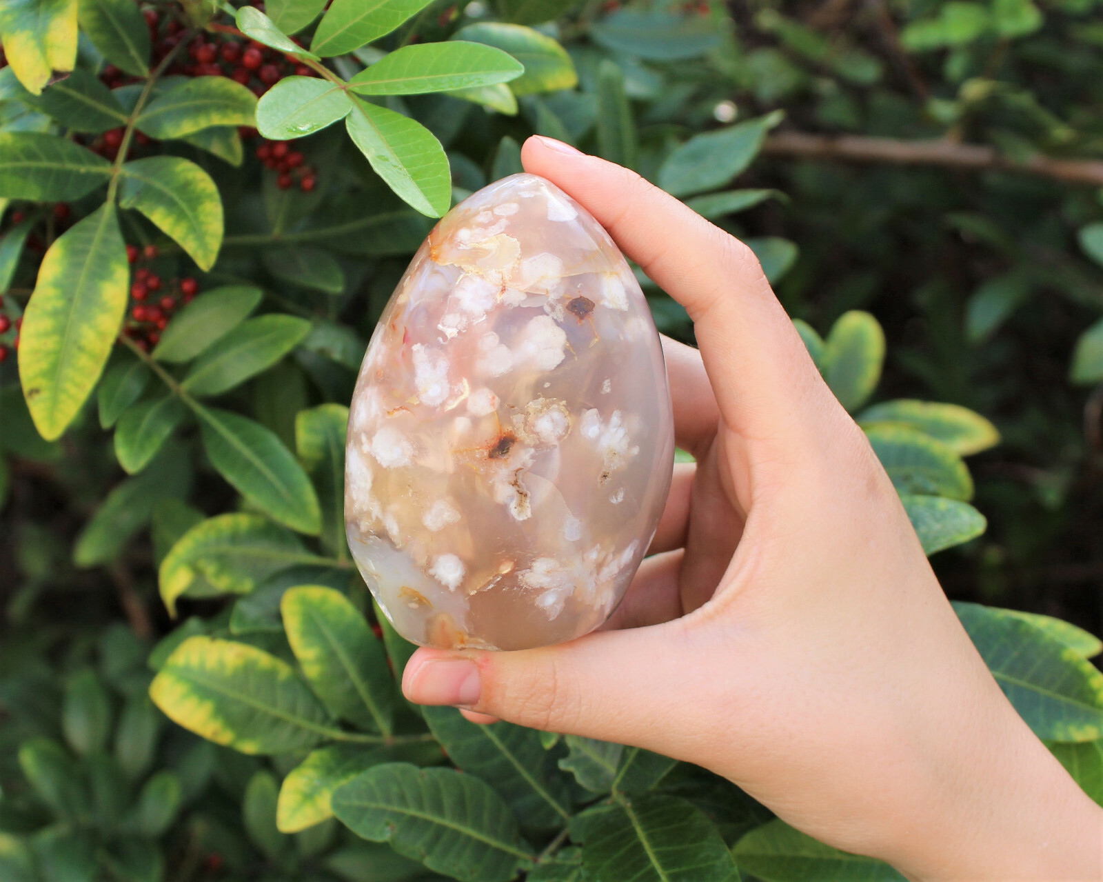 Flower Agate Freeform – Stunning Polished Free Standing Crystal Display Specimen