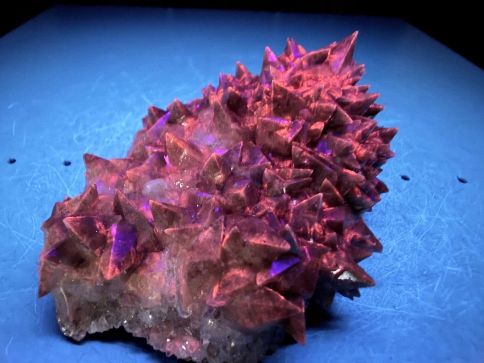 Fluorescent Dogtooth Calcite from Tres Marias Mine, Santa Eulalia, Mex 90 g.