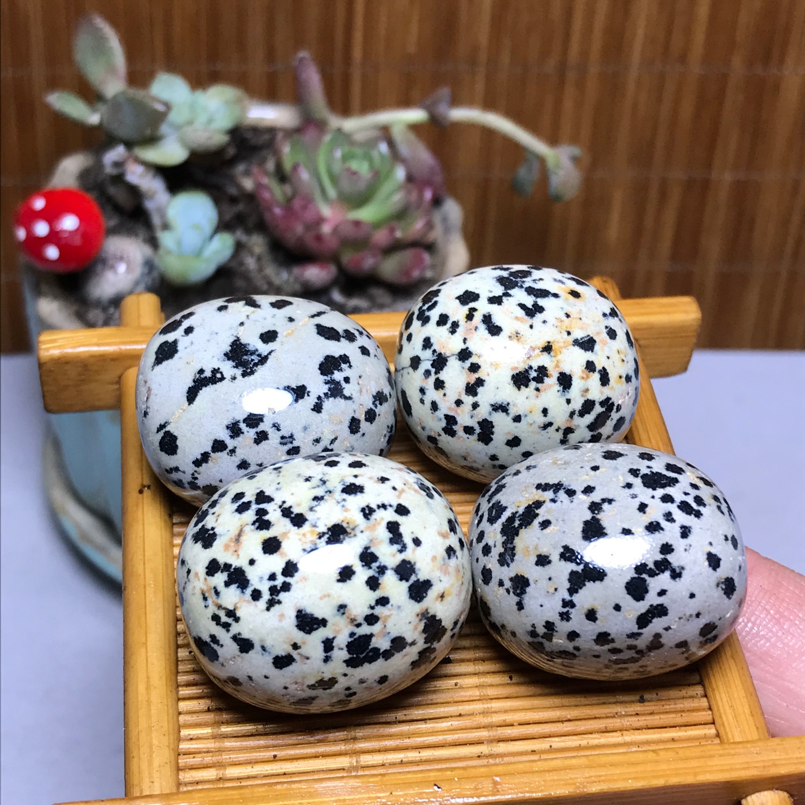 28-23-23mm 4Pcs Natural spotted stone Crystal gemstone Mineral Specimen A4404