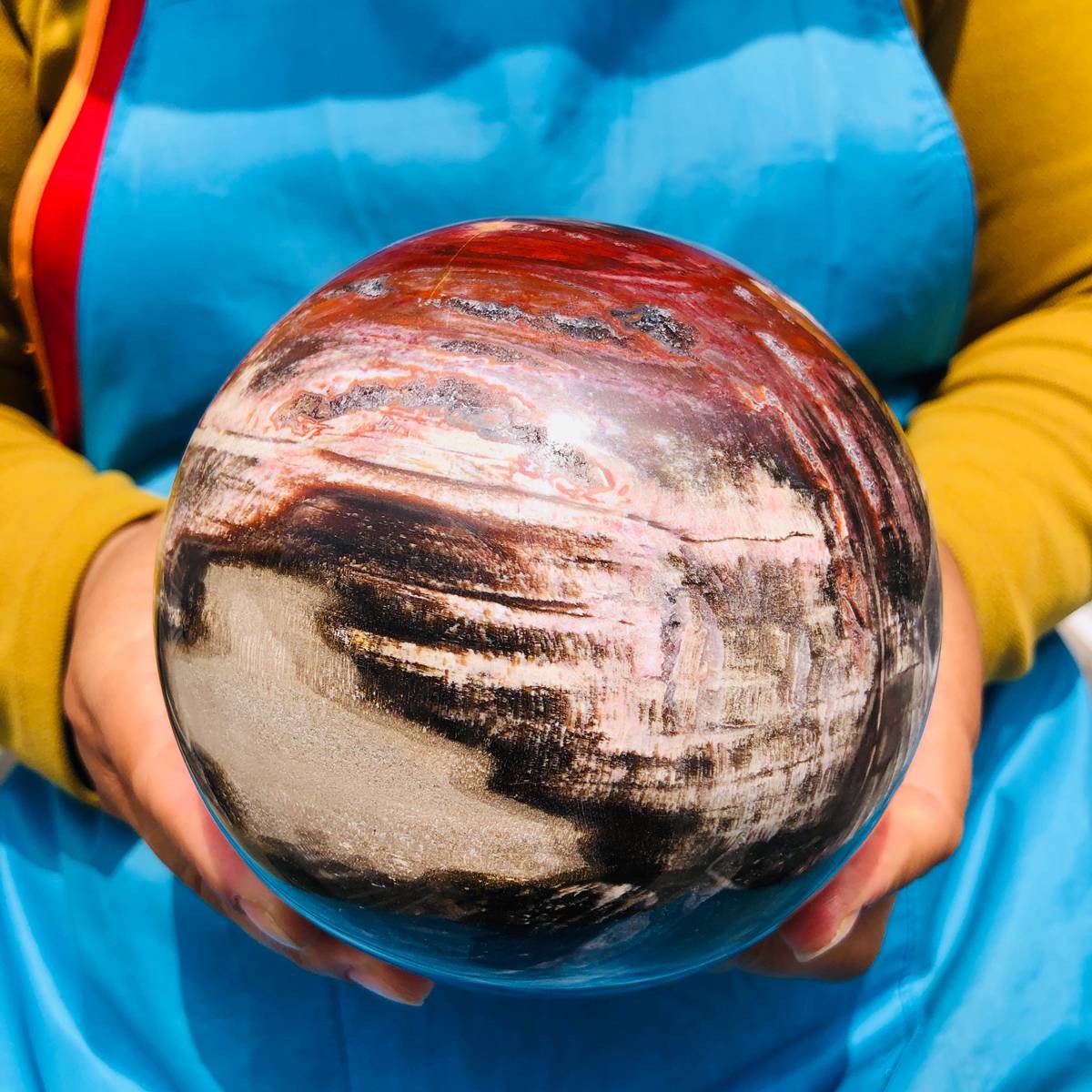 5.06LB Rare Natural Petrified Wood Ball Crystal Quartz Mineral Healing 4705