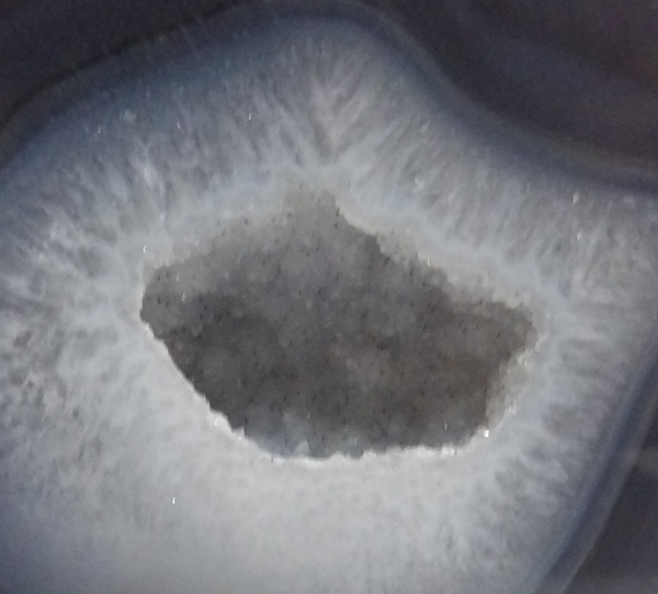Large Cut ,Polished Geode From Brazil 1 LB – 12 OZ (790 Gr Fingerprints not inc
