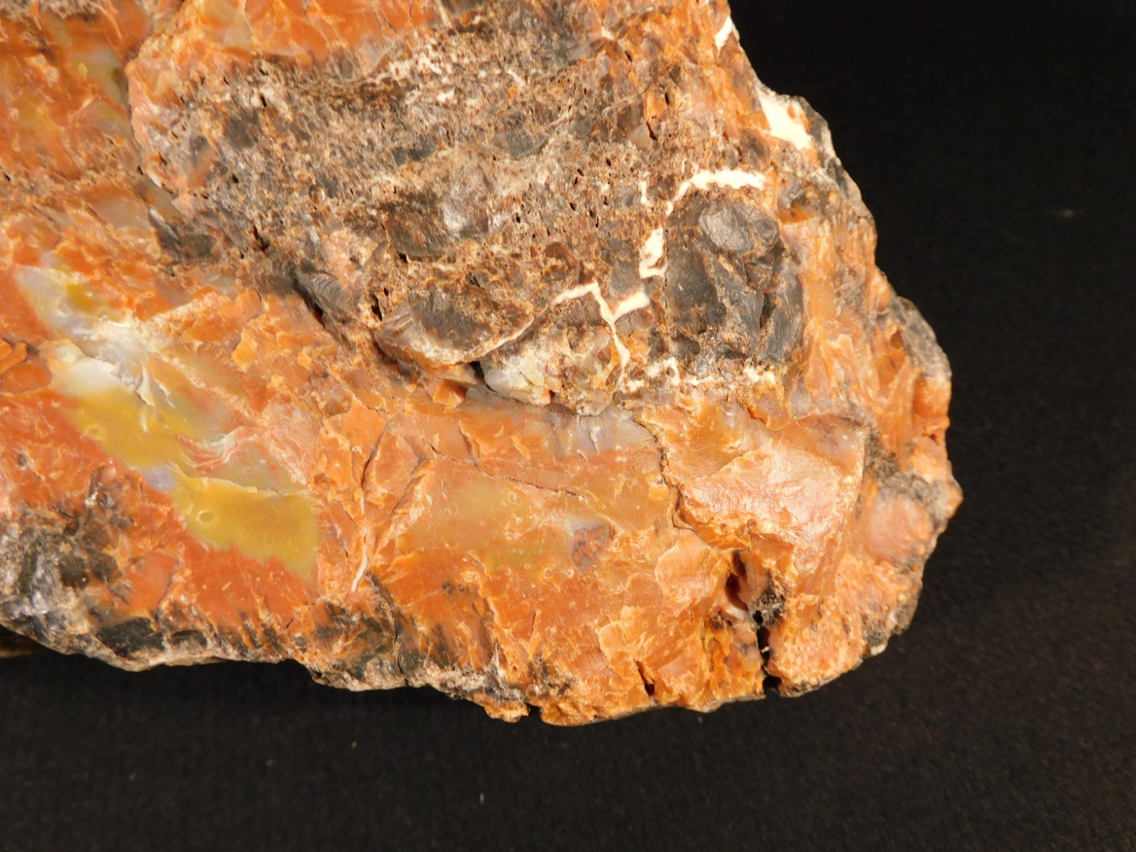 BIG! Highly Agatized Petrified WOOD Fossil From Triassic Arizona 3583gr