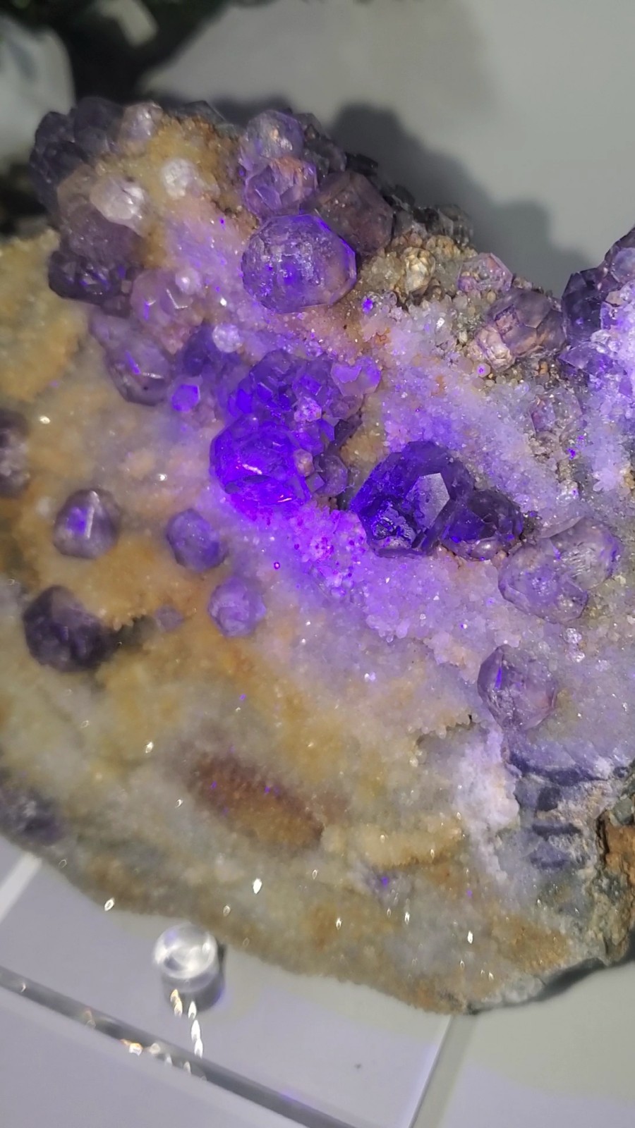 Tanzanite Fluorite On tan-colored quartz-rich matrix Statement PEACE 1KG 210G