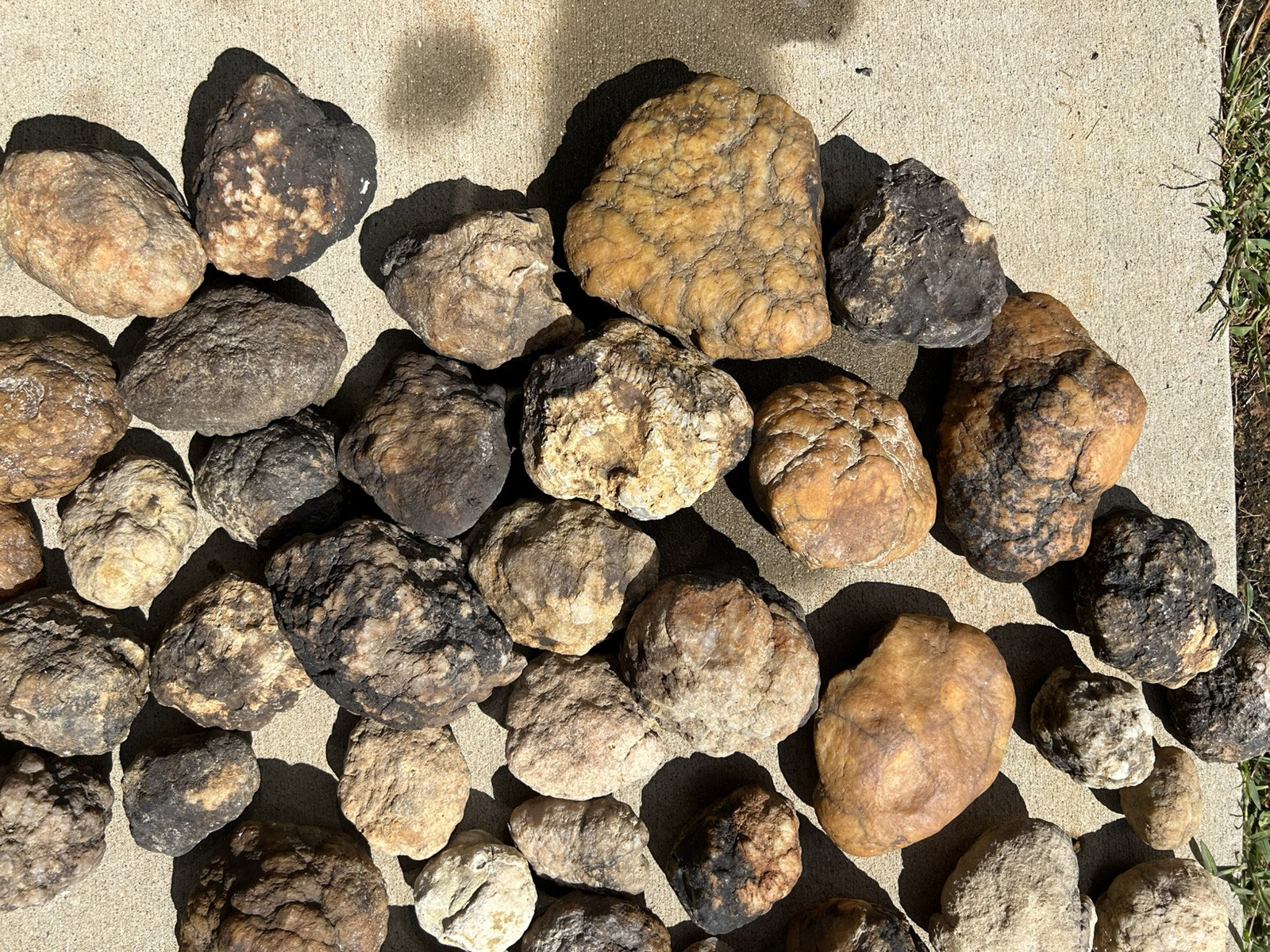 5 lbs Kentucky Natural Geodes Premium Quality Quartz Crystals Sale