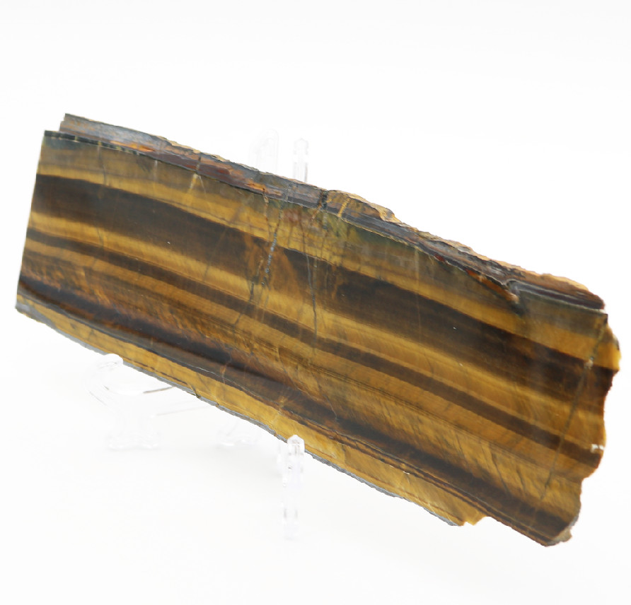 LARGE Elegant TIGERS EYE Fossil Slab SOUTH AFRICAN Mineral Display Collectible