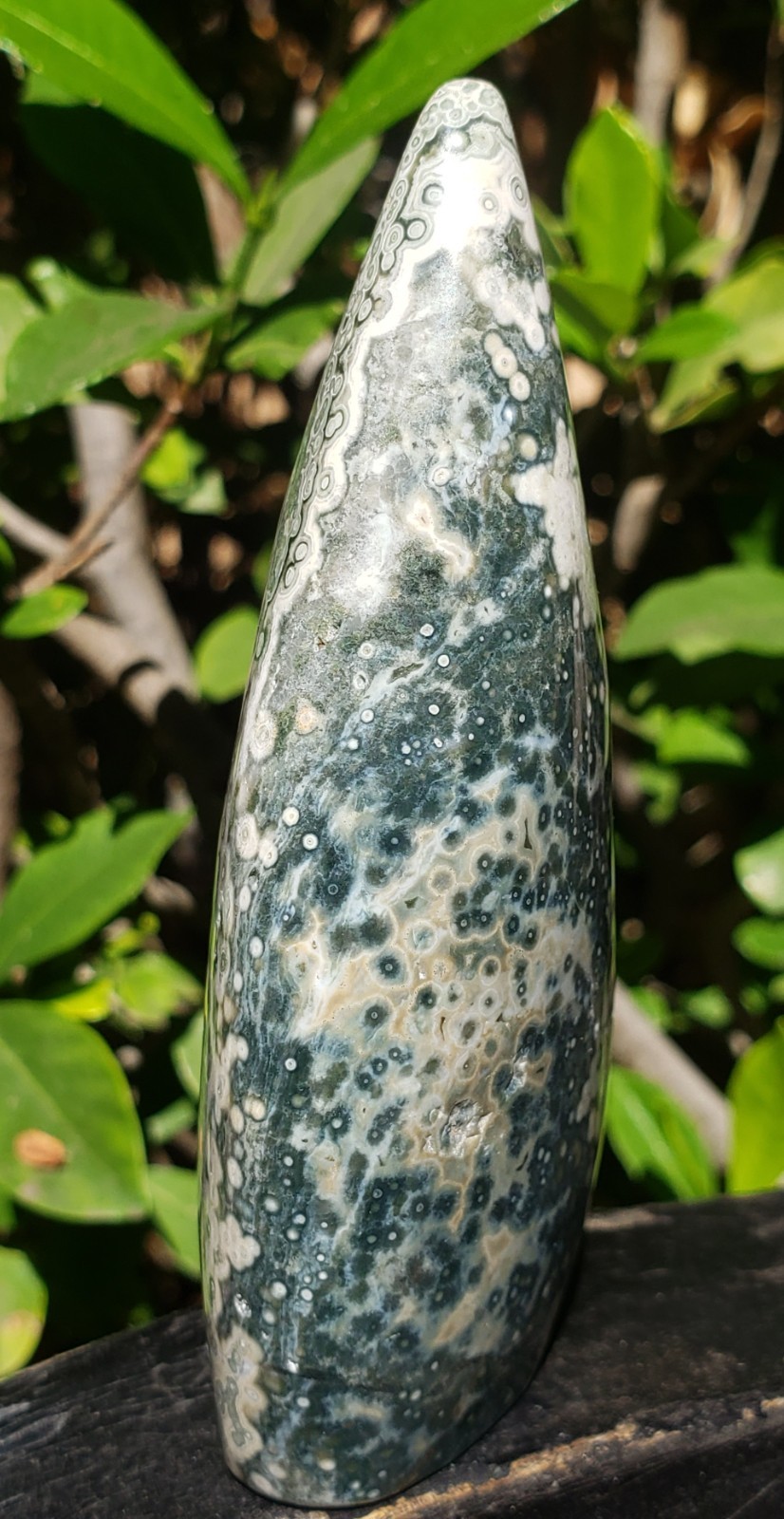 3.75″ Natural 8th Vein Orbicular Ocean Jasper Crystal Quartz UV Tear Free Form
