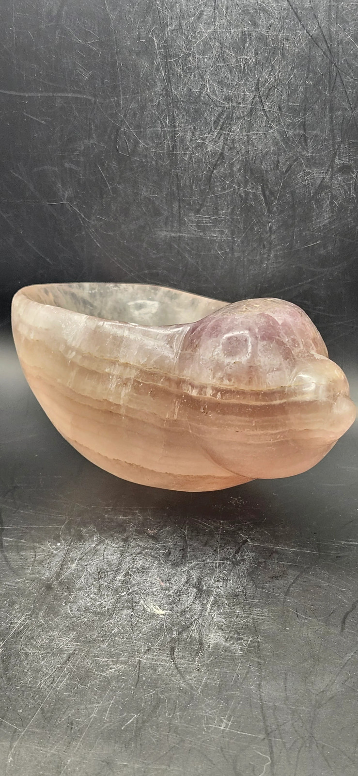 Florite conch shell offering bowl! 1.8 pounds, 5 inches by 4 inches