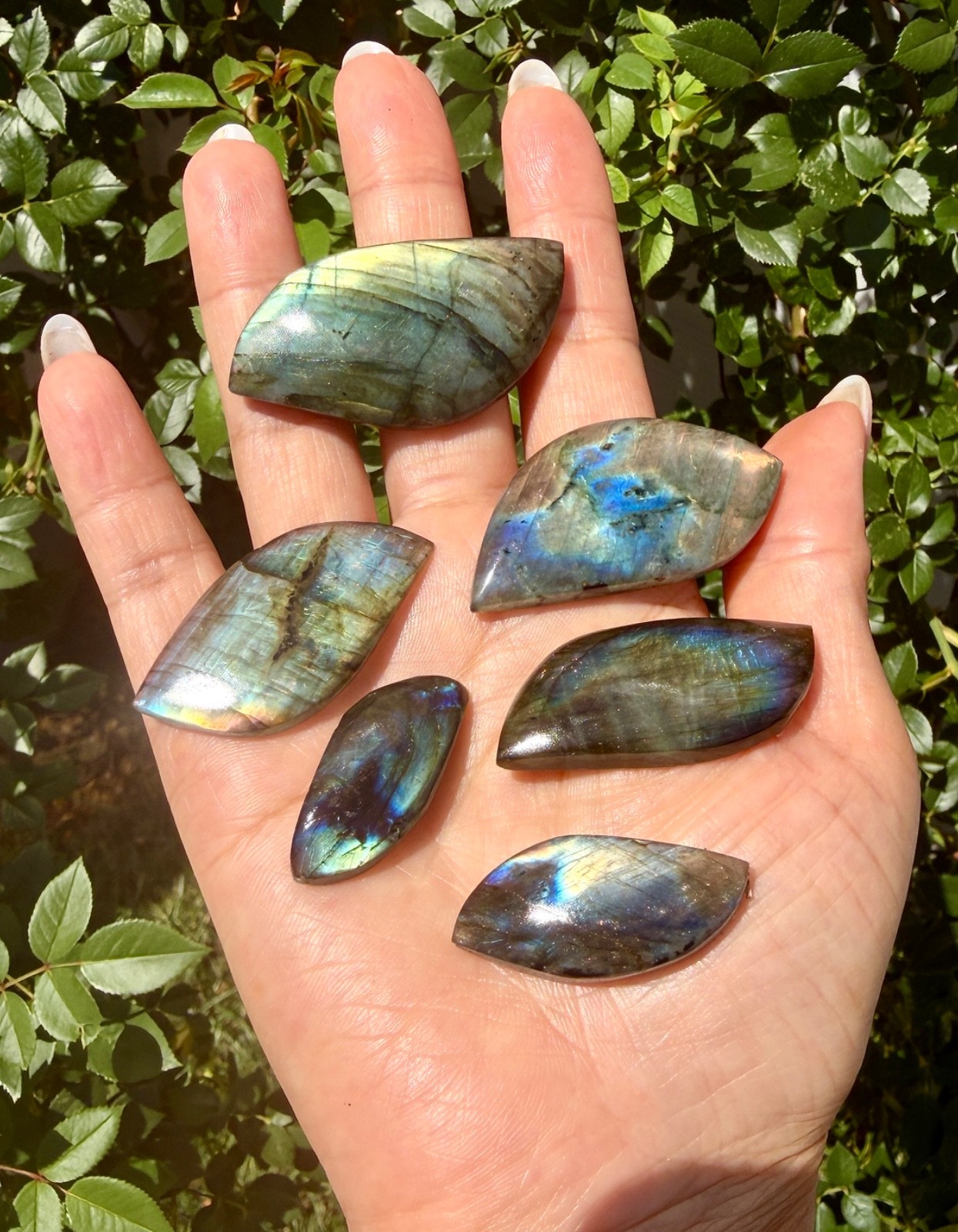 Wholesale Lot 12 Pcs Natural Labradorite Cabochon Crystal Healing Energy