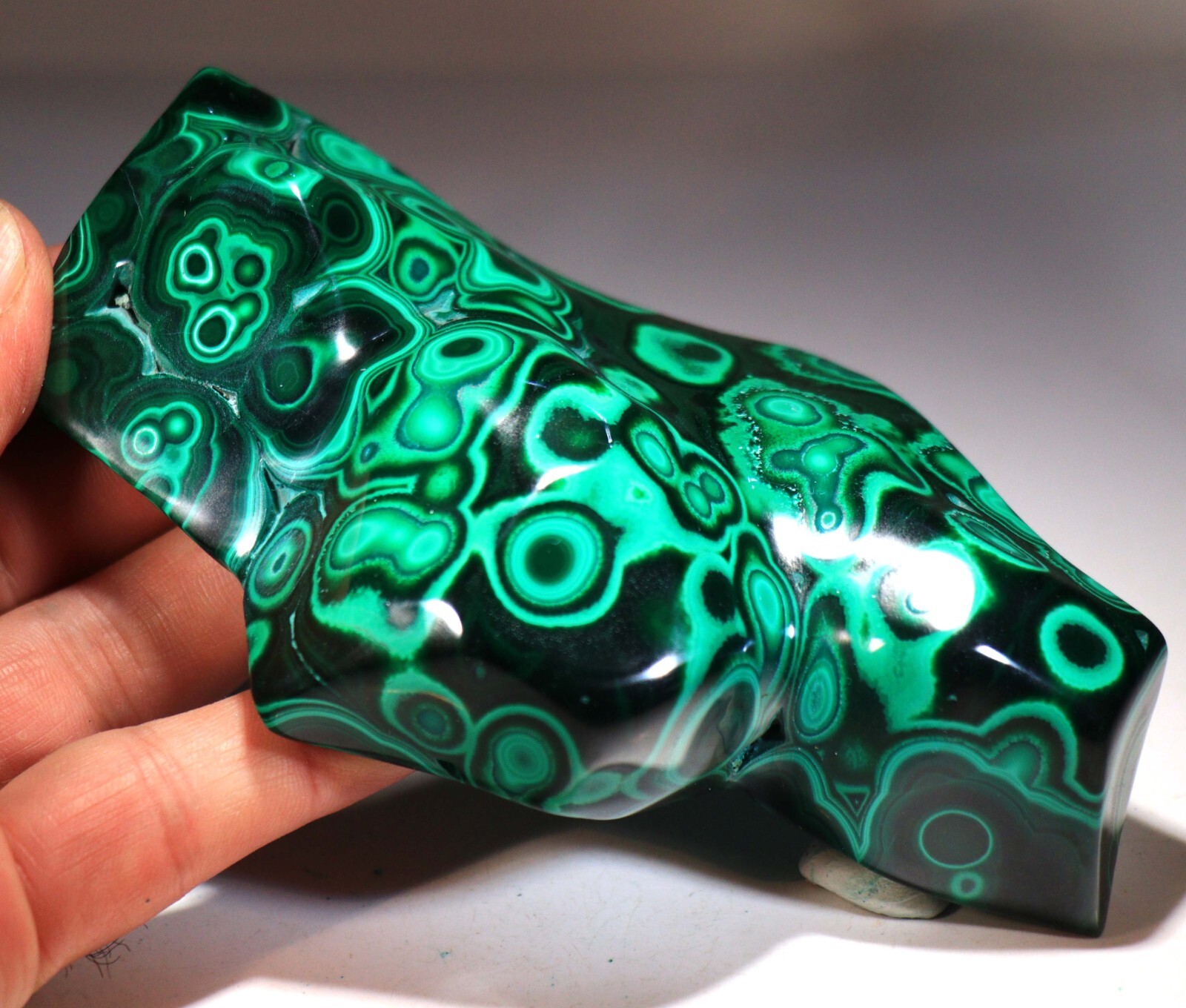 5.25″ Top Quality Vivid Green Malachite w/Blue Chrysocolla , Congo! CR115