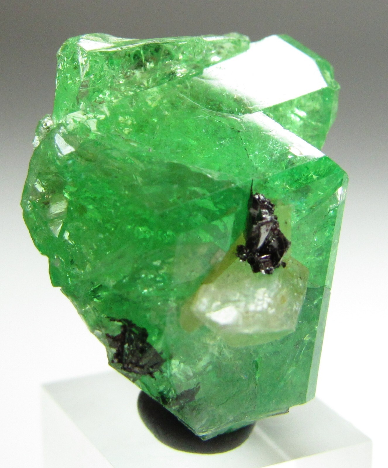 EXQUISITE ELEGANT GLASSY GEM TSAVORITE GROSSULAR GARNET W/ DIOPSIDE!!! TANZANIA