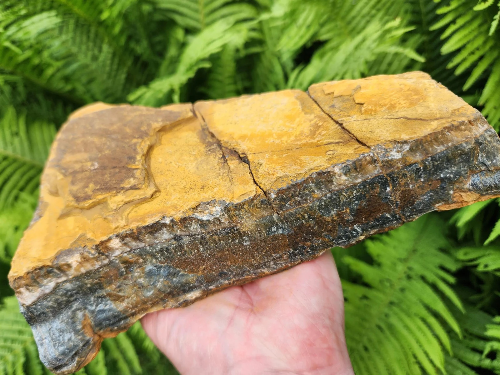5 lb 11 oz Rough Blue Tiger’s Eye Stone. Ideal for Lapidary. Luminescent