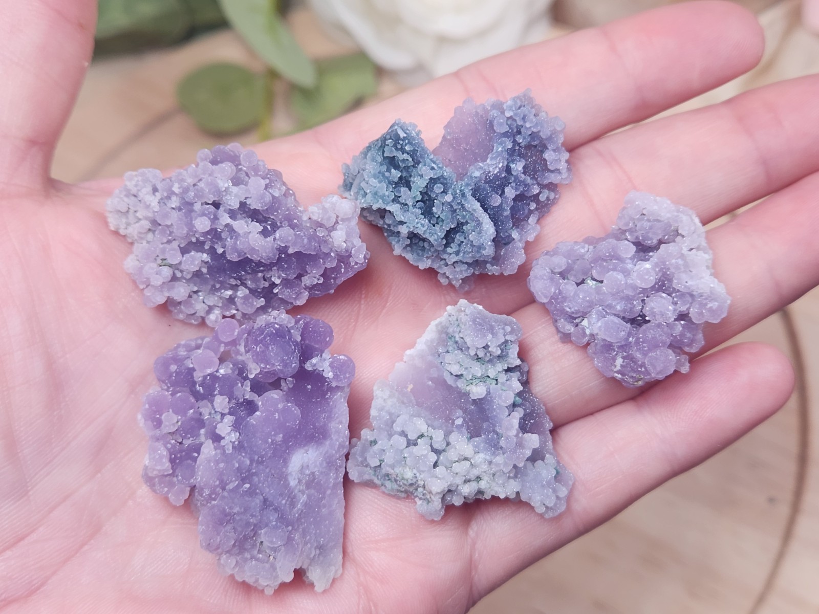 46g Grape Agate Lot West Sulawesi Indonesia Druzy Botryoidal Chalcedony 5 Pieces