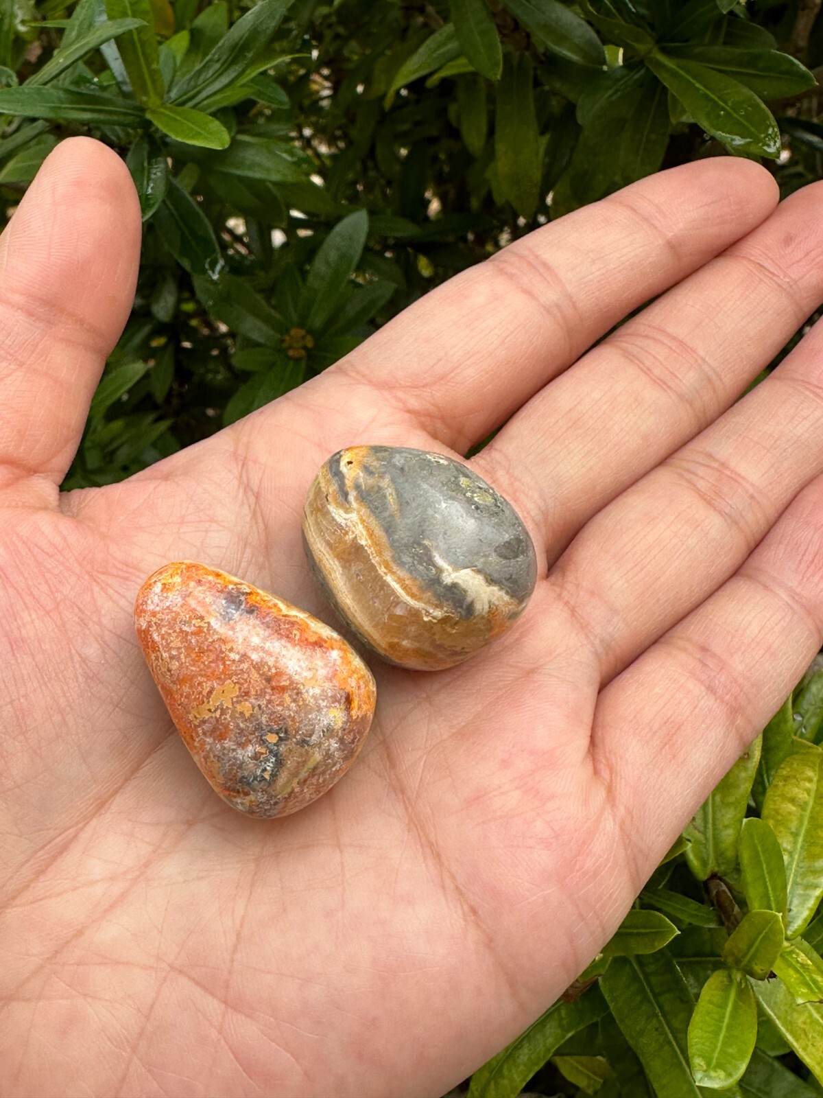 Grade A++ Bumblebee Jasper Tumbled Stones, 0.75-1.25″ Tumbled Bumblebee Jasper