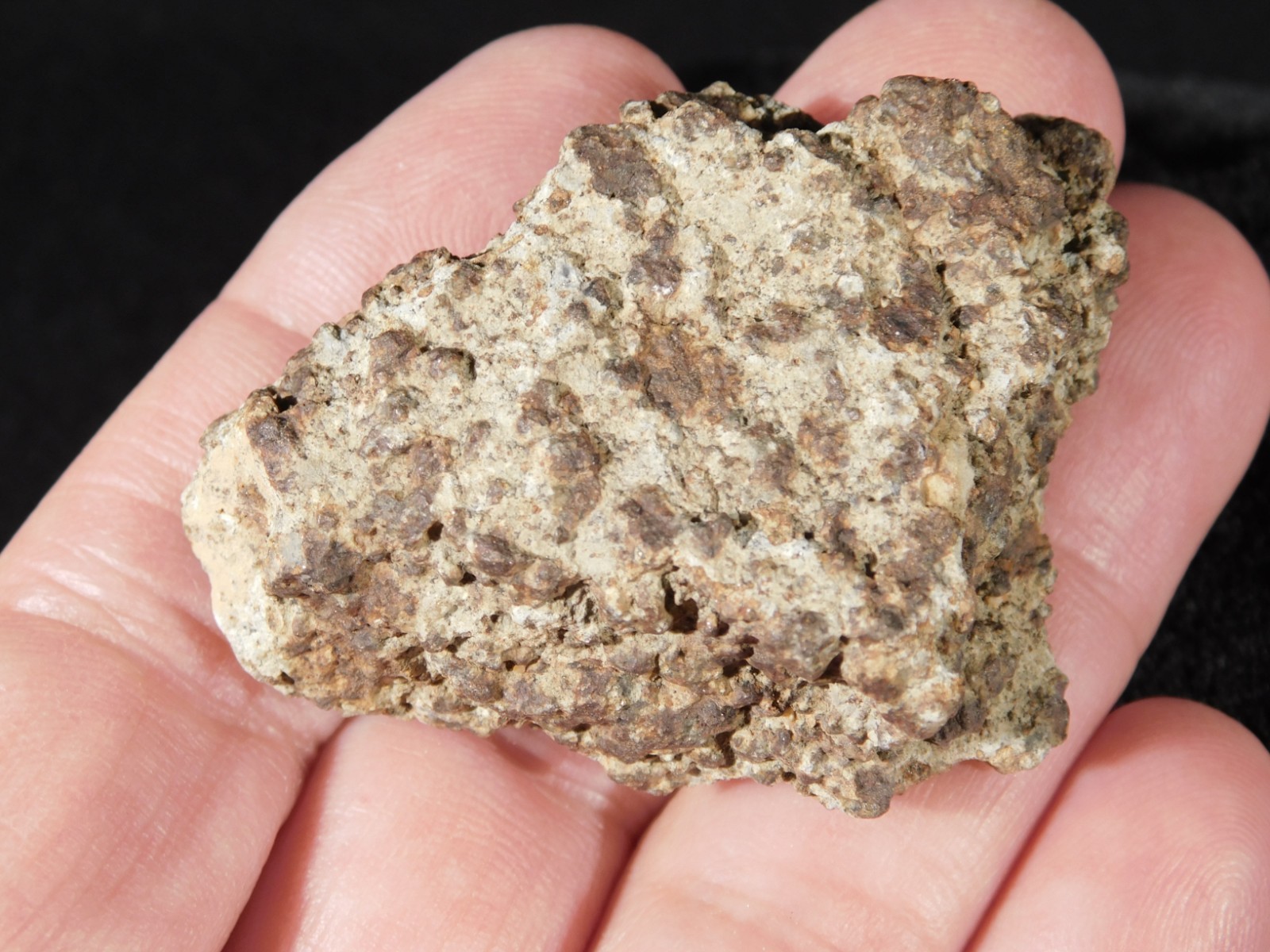Classified NWA 8245 METEORITE Spots of Dark Fusion Crust! Erfoud, Morocco 51.6gr