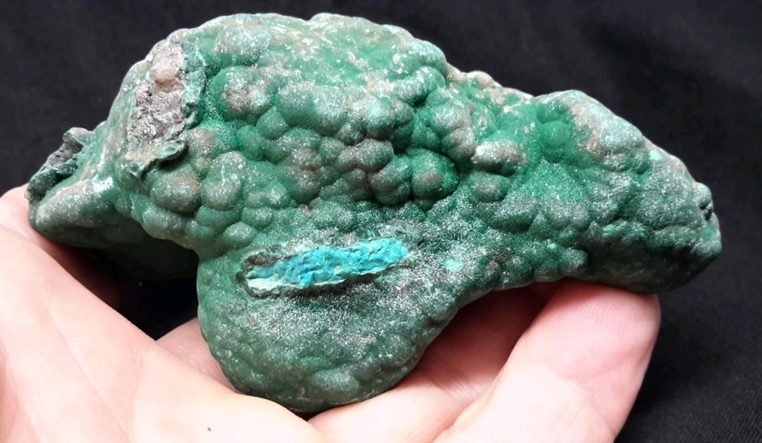 3.75″ MALACHITE with CHRYSOCOLLA from the Democratic Republic of Congo