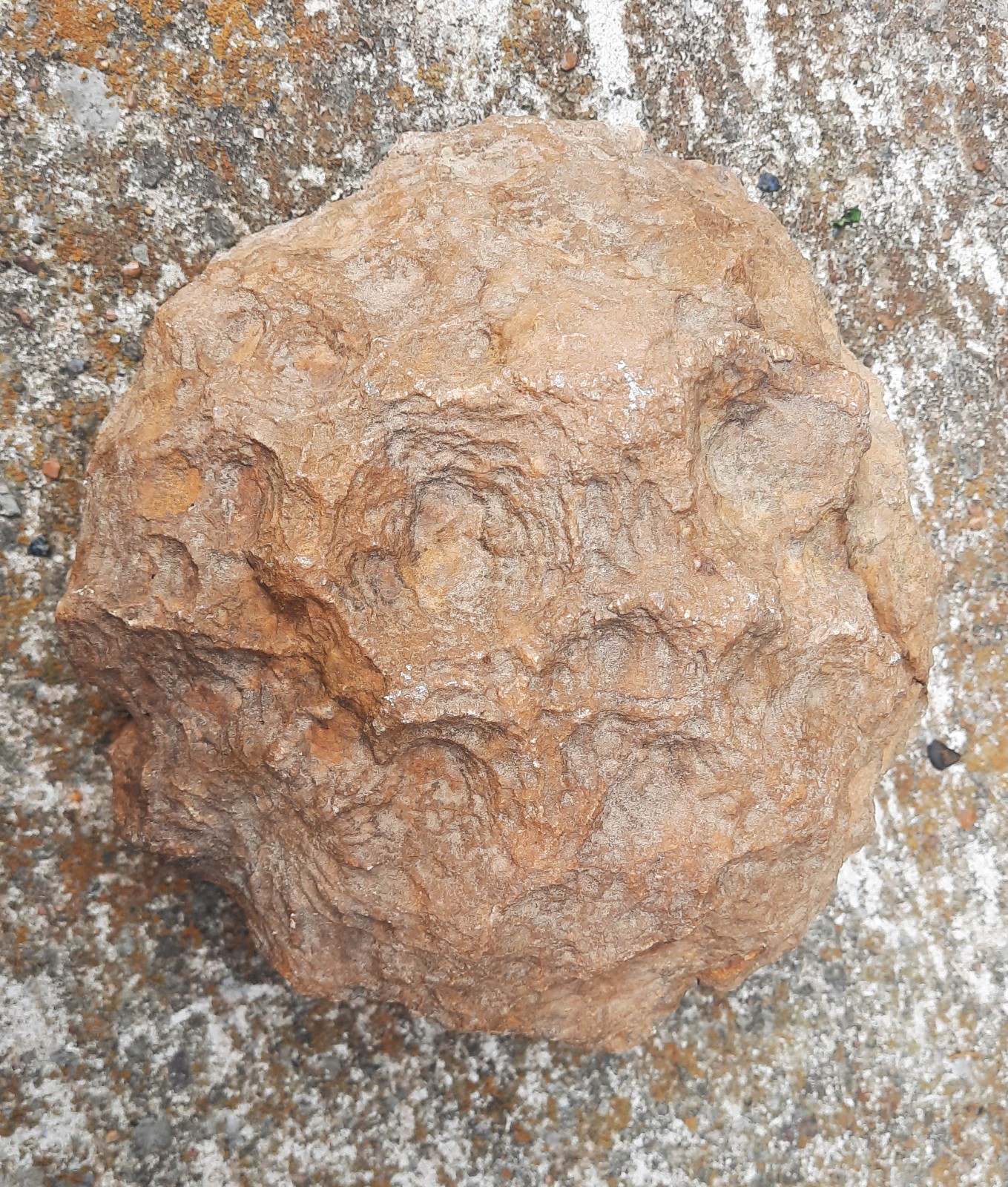 7″ KY. Iron Rock Geode with Odd Unique Crystals. Natural Opening, Eye Pleasing