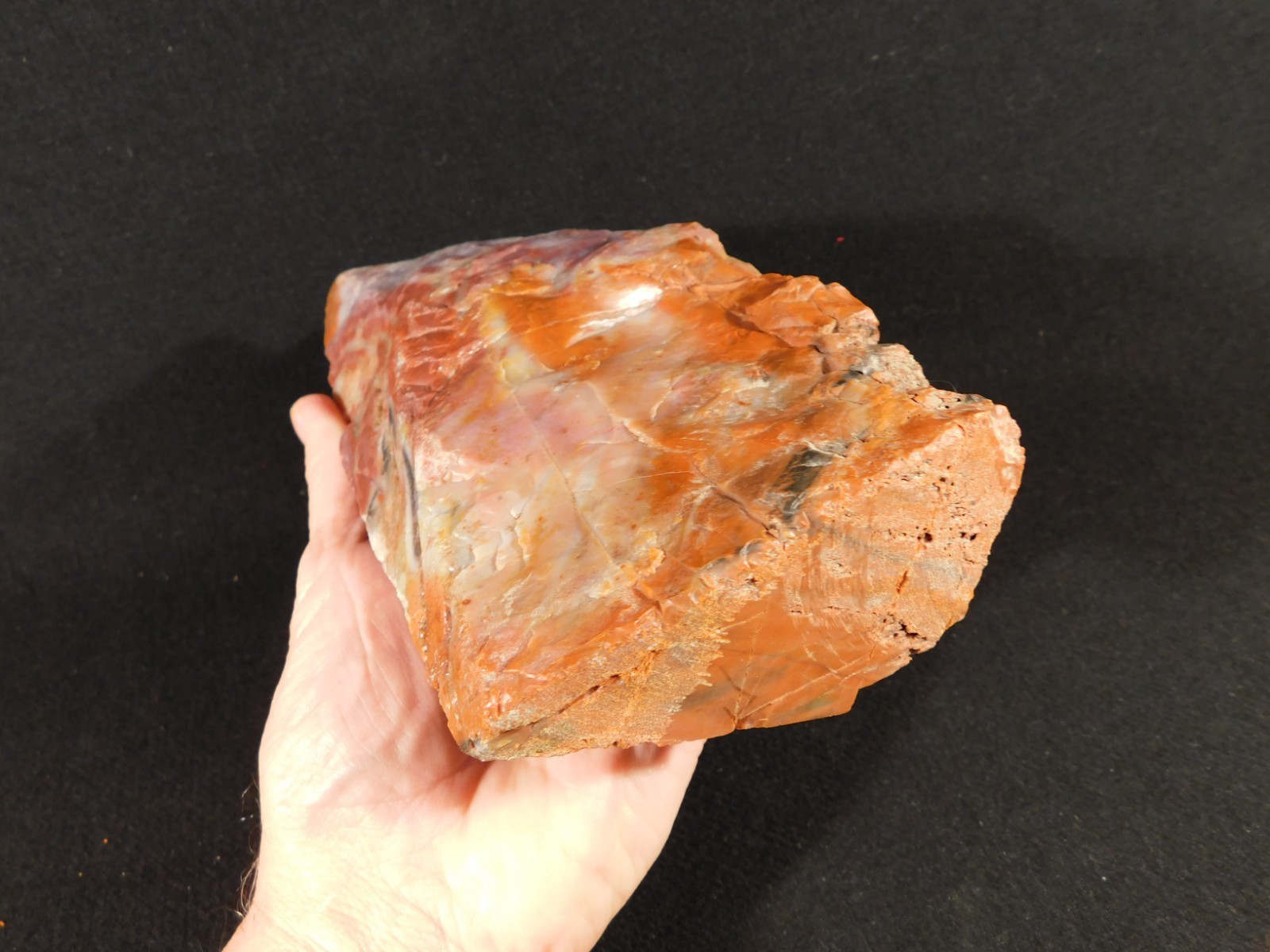 Big Free Standing Polished Deep RED Petrified RAINBOW WOOD Fossil Arizona 1791gr
