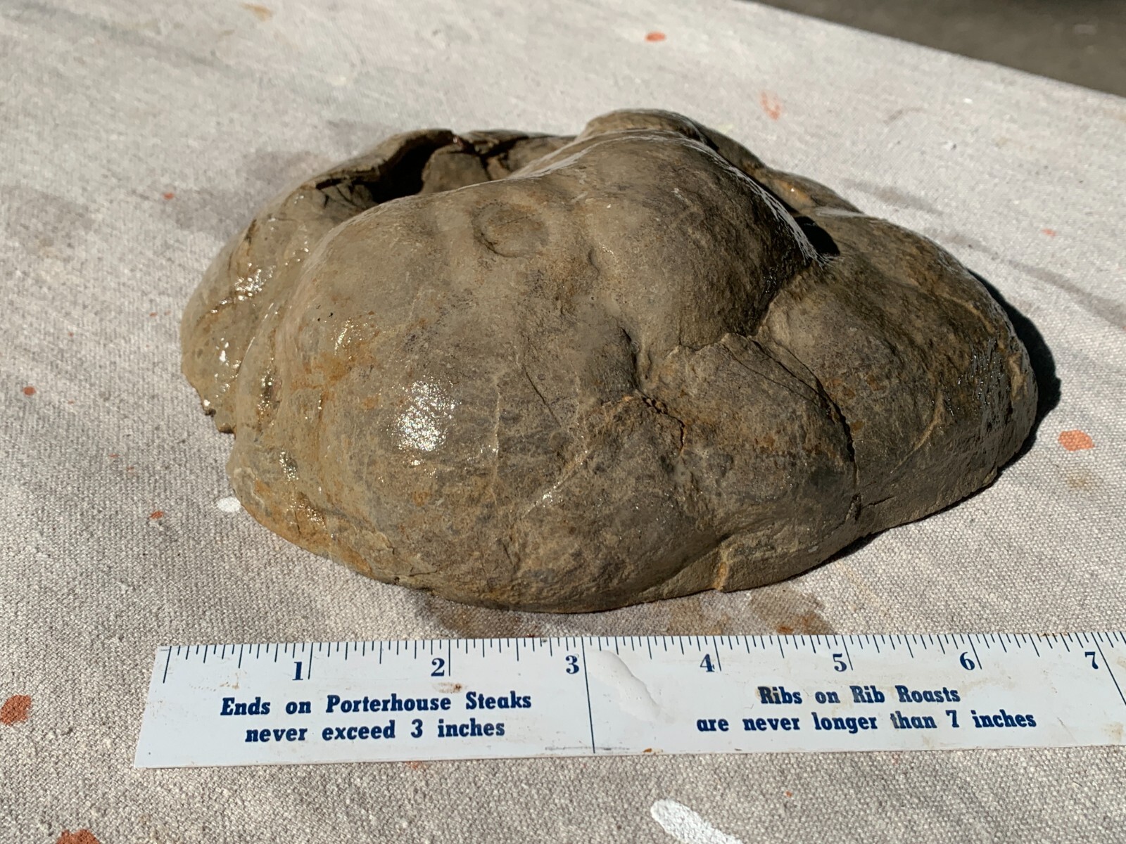☆4.7LB (2100Gr) 8 Inch Septarian Nodule 1/2 Geode Mineral Specimen from Utah☆720