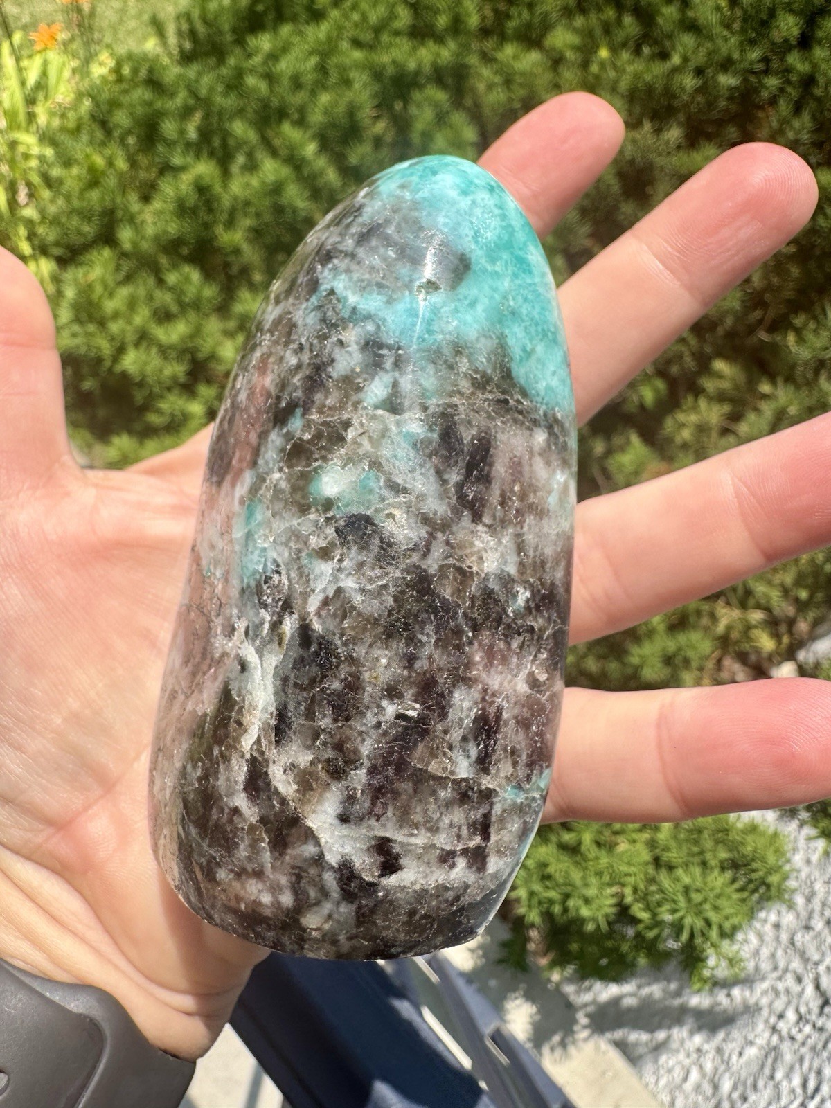 Vibrant Polished amazonite With Smoky Quartz Freeform.