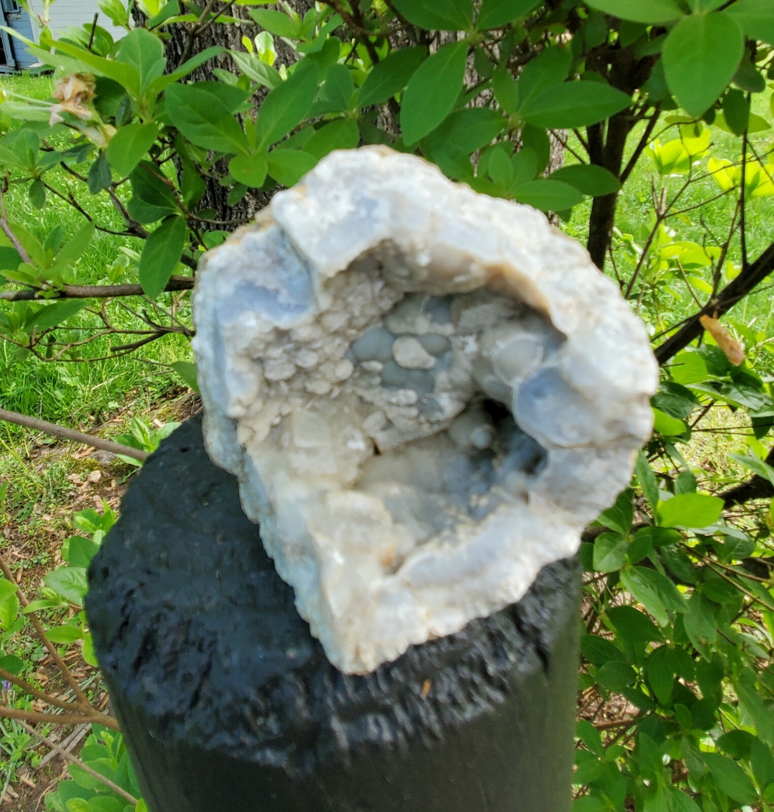 Blue-gray Botryoidal Chalcedony Geode With Calcite And Aragonite Crystals #659