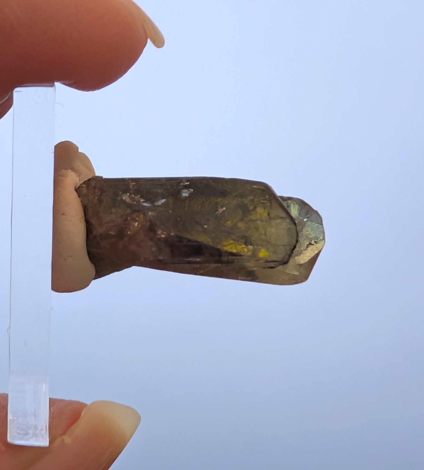 14.05 ct Natural Tanzanite Crystal – Unheated