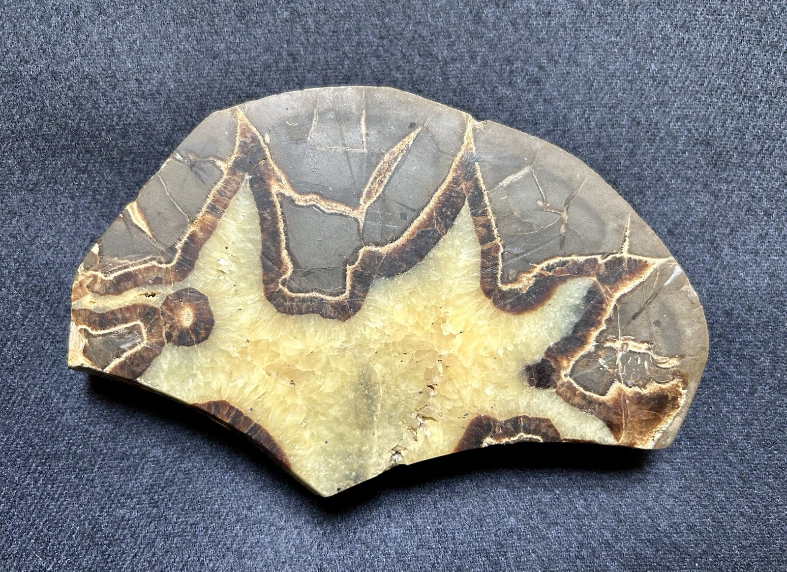 Large Septarian Nodule Utah Specimen Dragon Stone Nice Obvious Calcite Presence