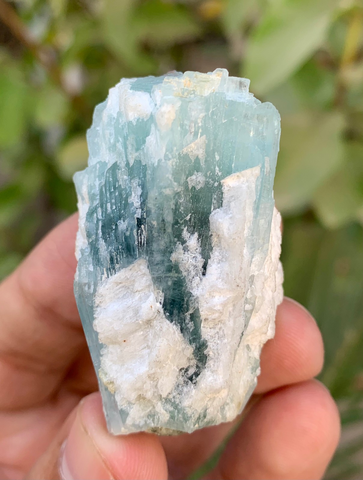 38 Gm Natural Sky Blue Aquamarine Crystal Cluster Specimen From Skardu Pakistan