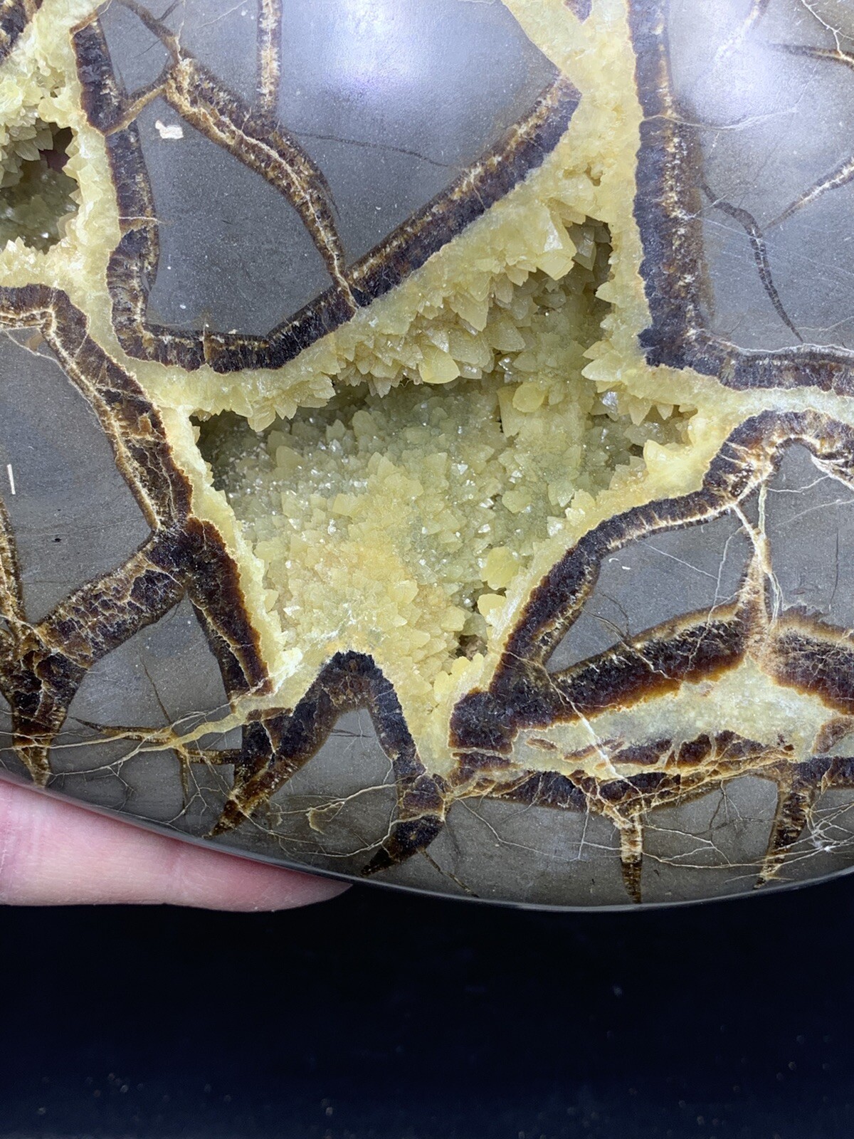 Septarian Nodule Hollow Slab,Dragon Stone ( Utah ) Stand And Description Card