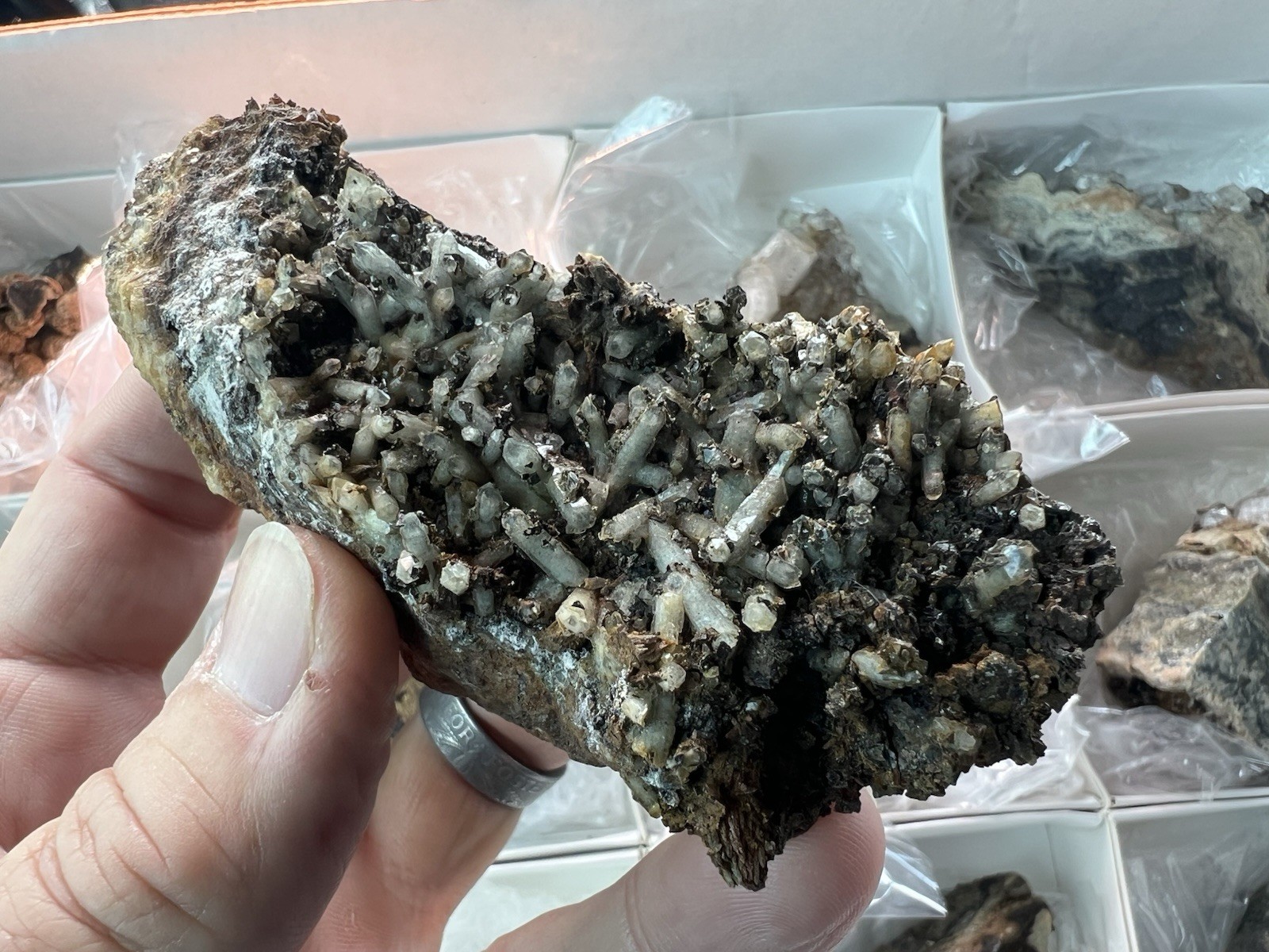 12 Quartz & Siderite Specimens – Potosí Mine, Santa Eulalia, Chihuahua, Mexico