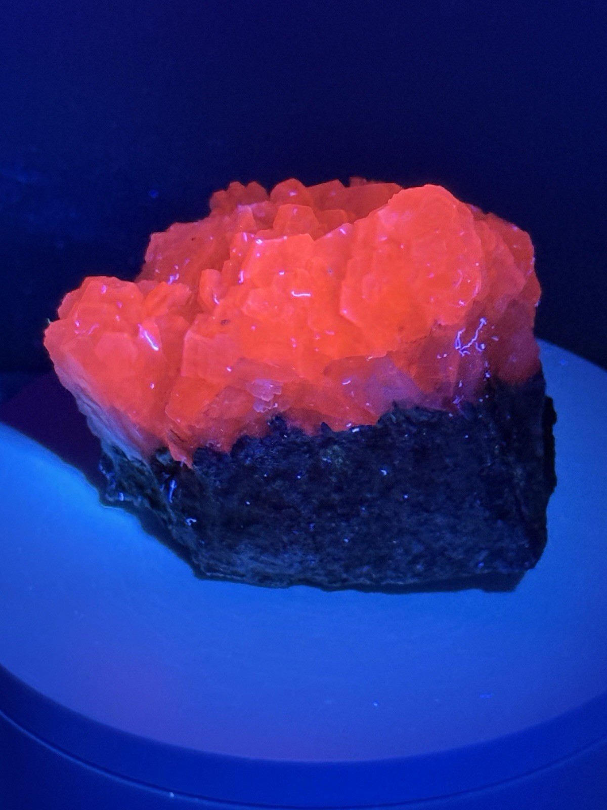 RADIANT Sandwich Calcite Fluorescent Mineral Specimen – China