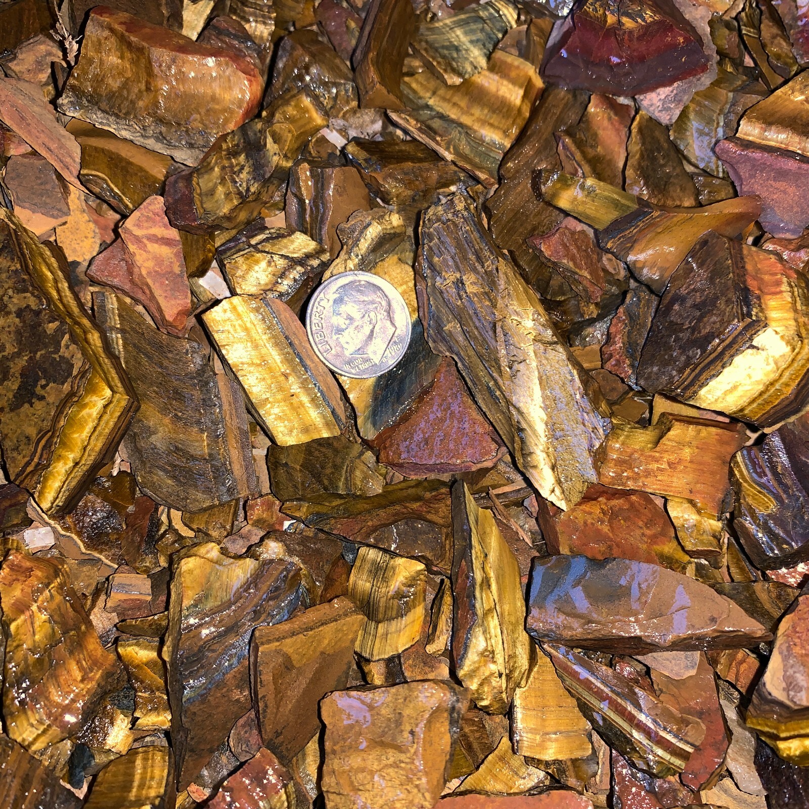 (SMALL) GOLD Tiger Eye Rough – 3000 Carat Lots + a FREE Faceted Gemstone
