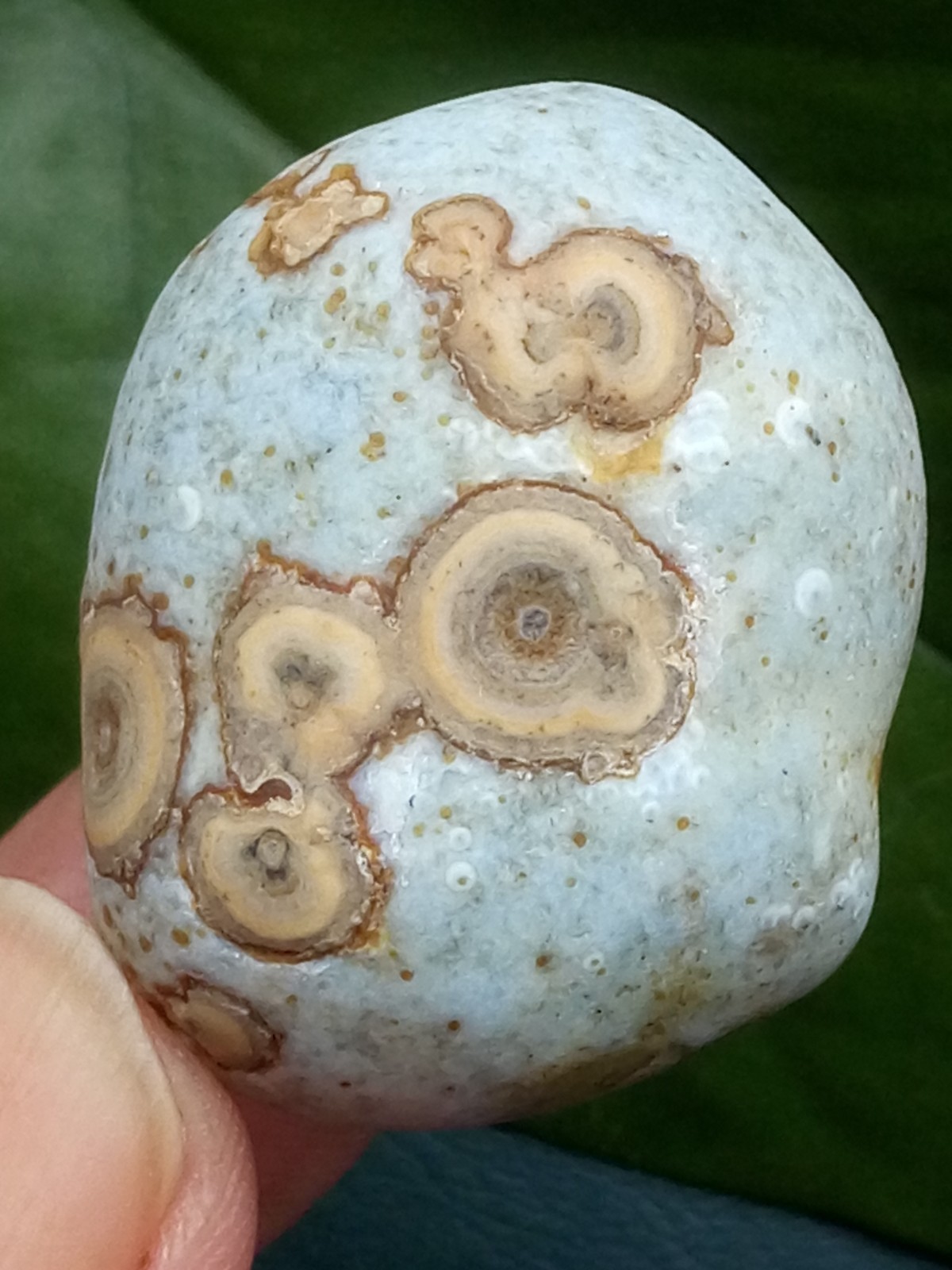36mm Beautiful Natural Gobi agate eye agate stone collection