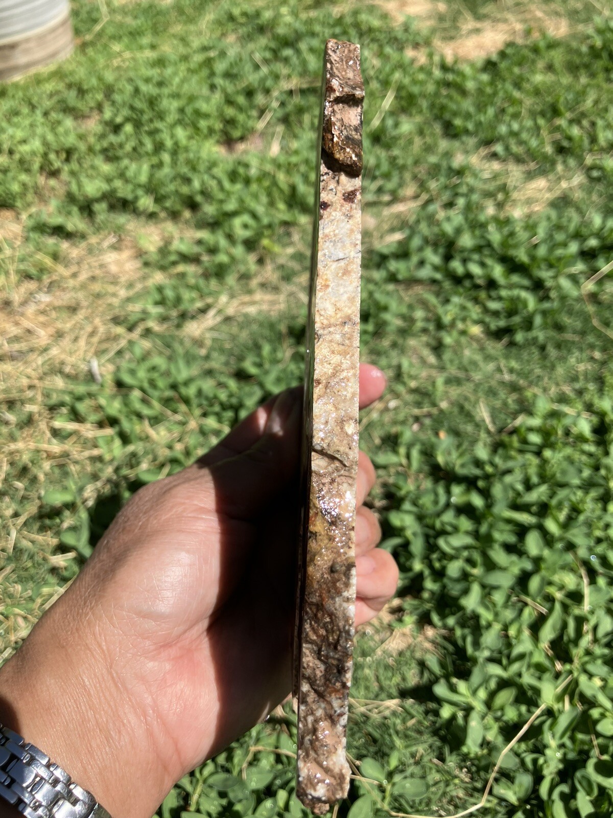 Black And Gold Agate Slab (New Mexico)