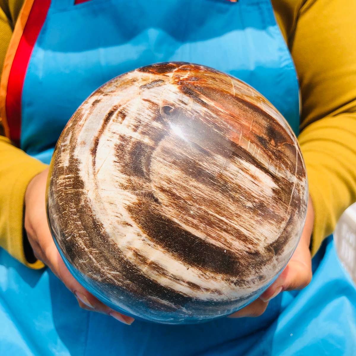 7.72LB Rare Natural Petrified Wood Ball Crystal Quartz Mineral Healing 4709
