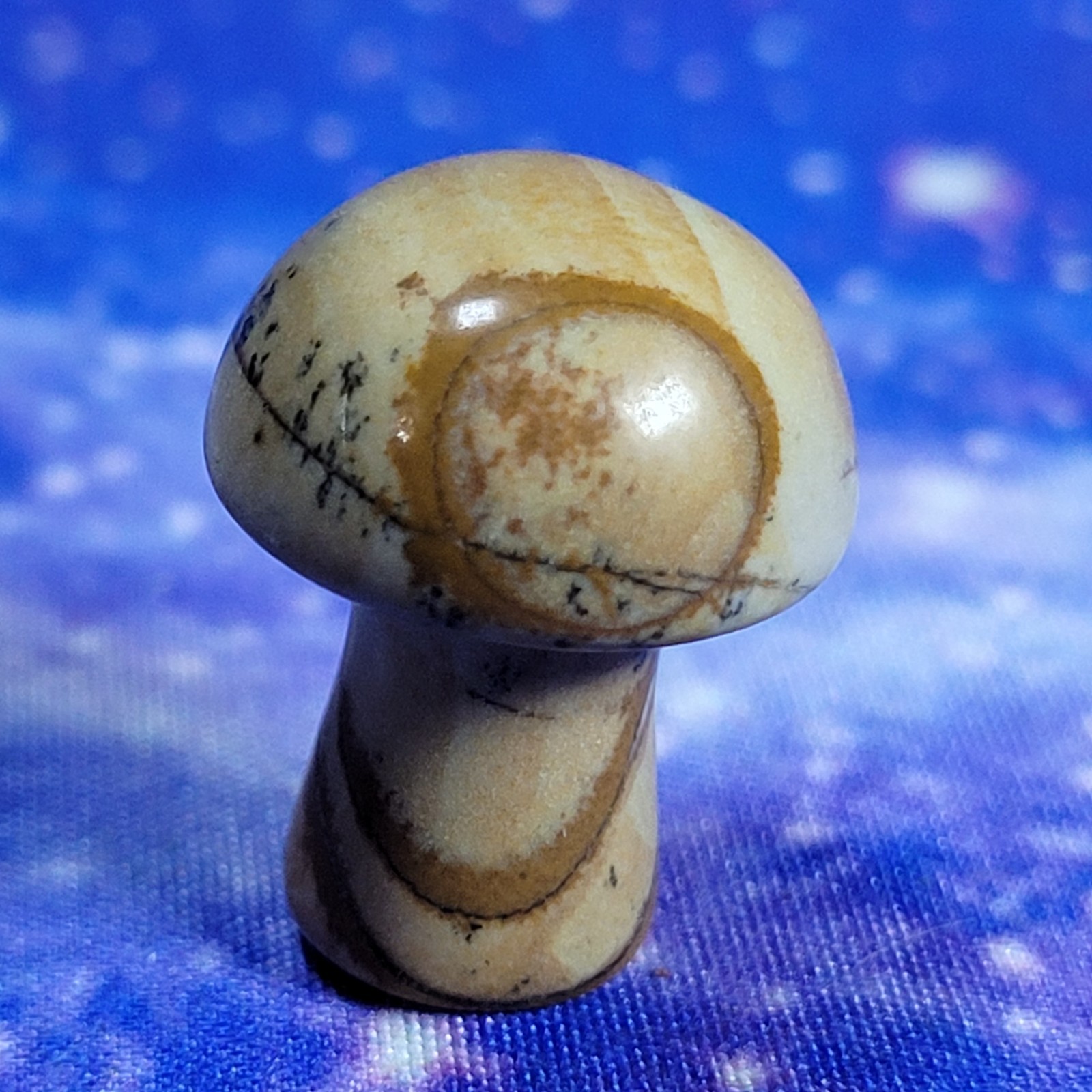 3 Magic Mushroom Carvings: Moss Agate/Picture Jasper/Serpentine 20mm w/Display