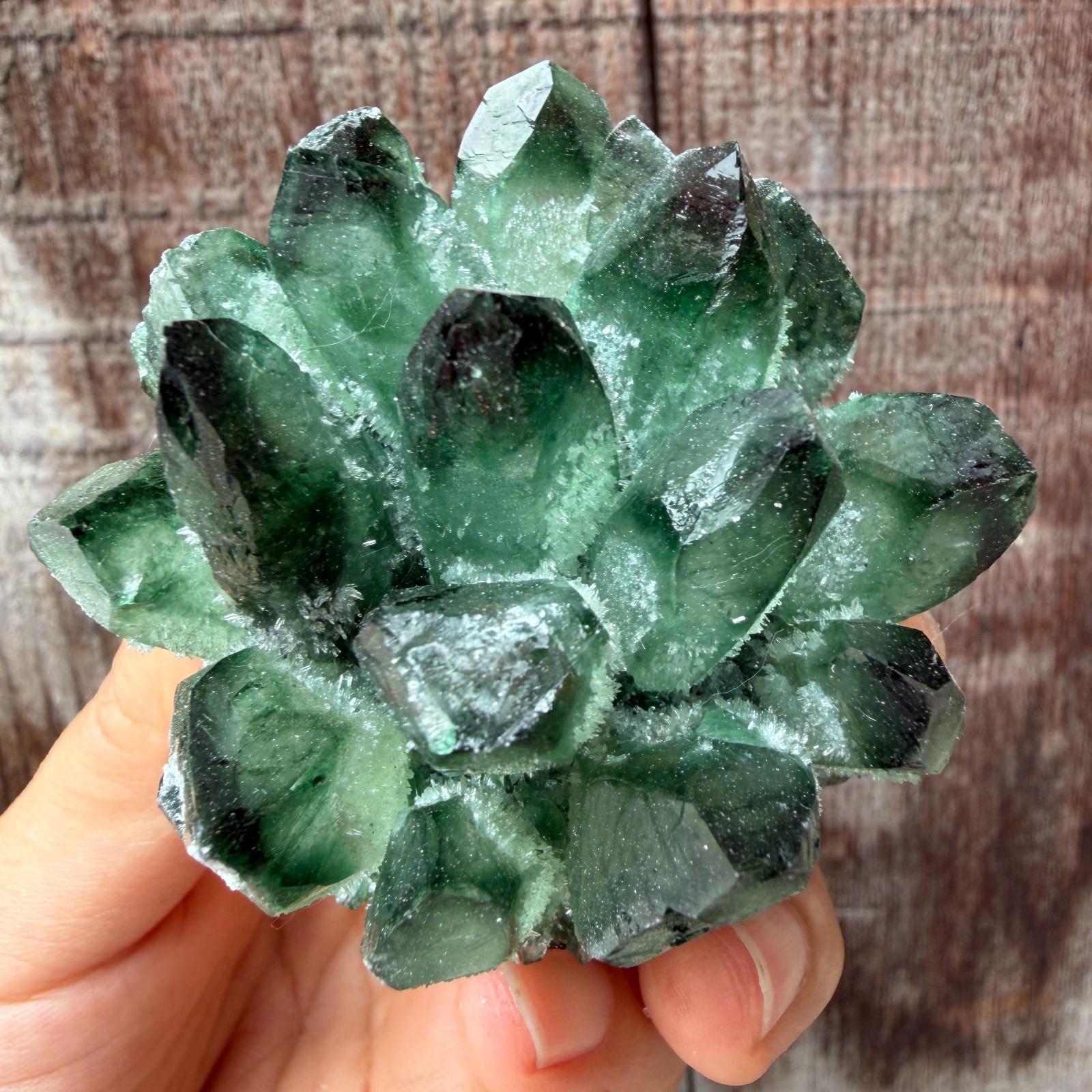 New Find green Phantom Quartz Crystal Cluster Mineral Specimen Healing 200g+ 1pc
