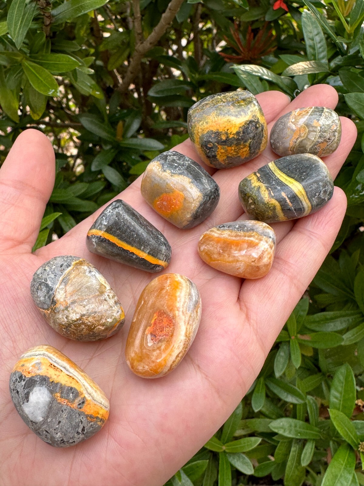 Grade A++ Bumblebee Jasper Tumbled Stones, 0.75-1.25″ Tumbled Bumblebee Jasper