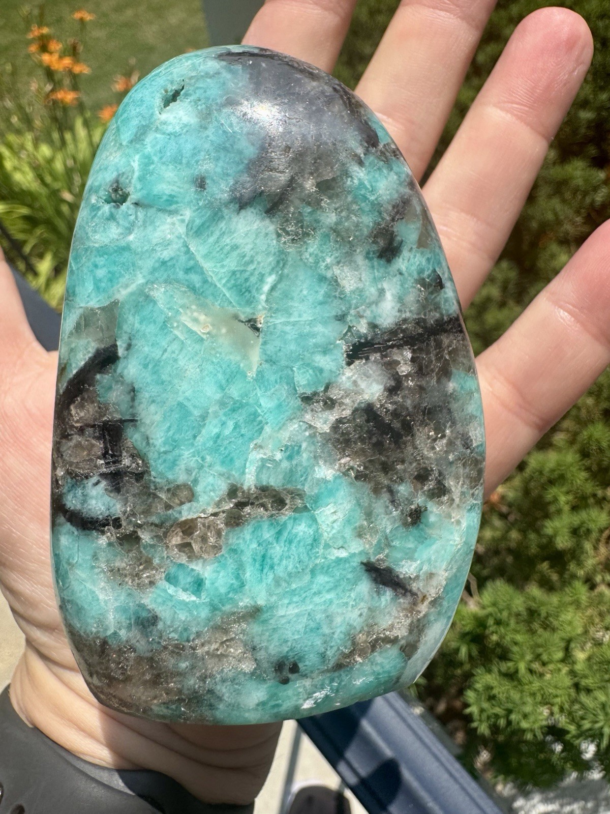 Vibrant Polished amazonite With Smoky Quartz Freeform.