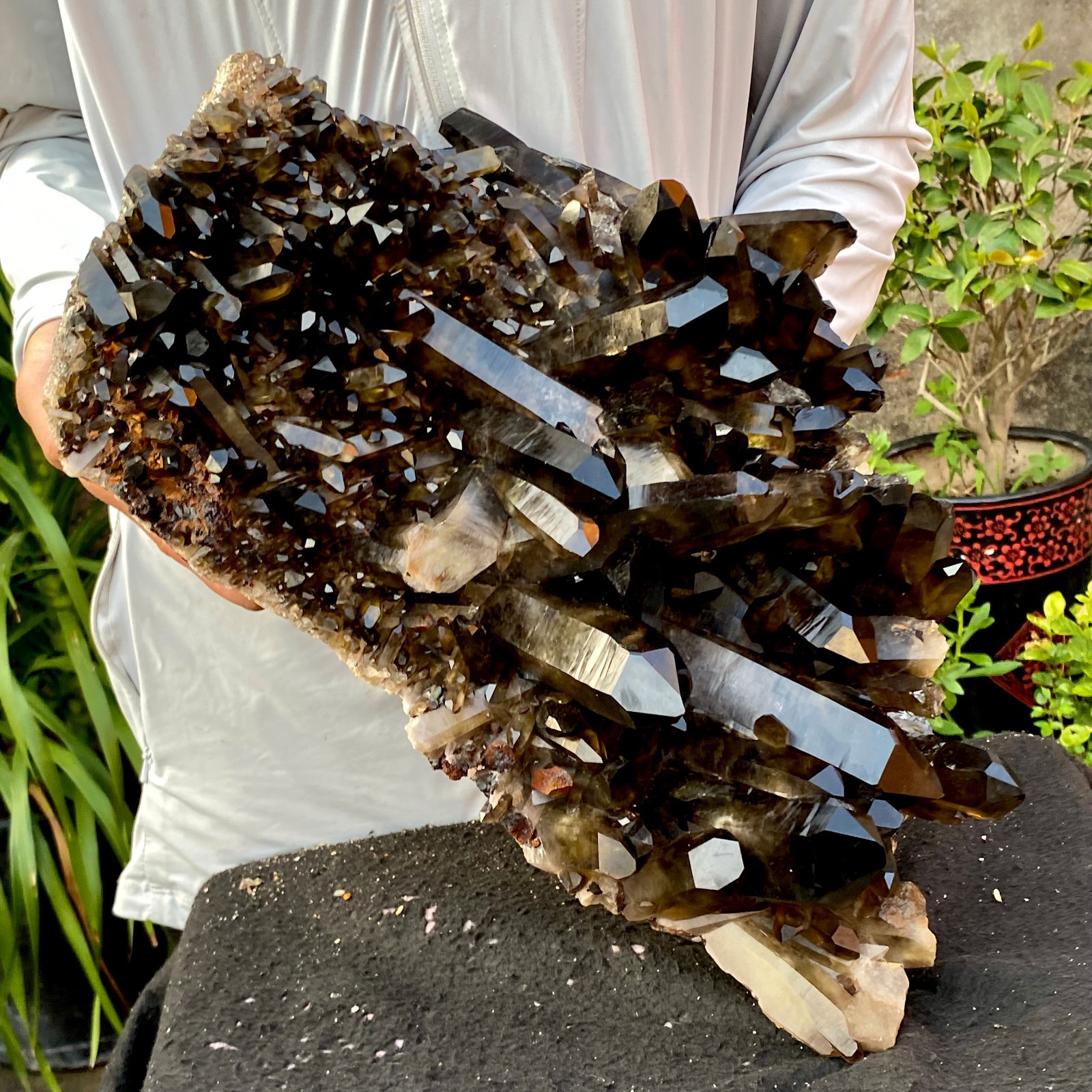 40.43LB Large Natural Black Smoky Quartz Crystal Cluster Raw Mineral Specimen