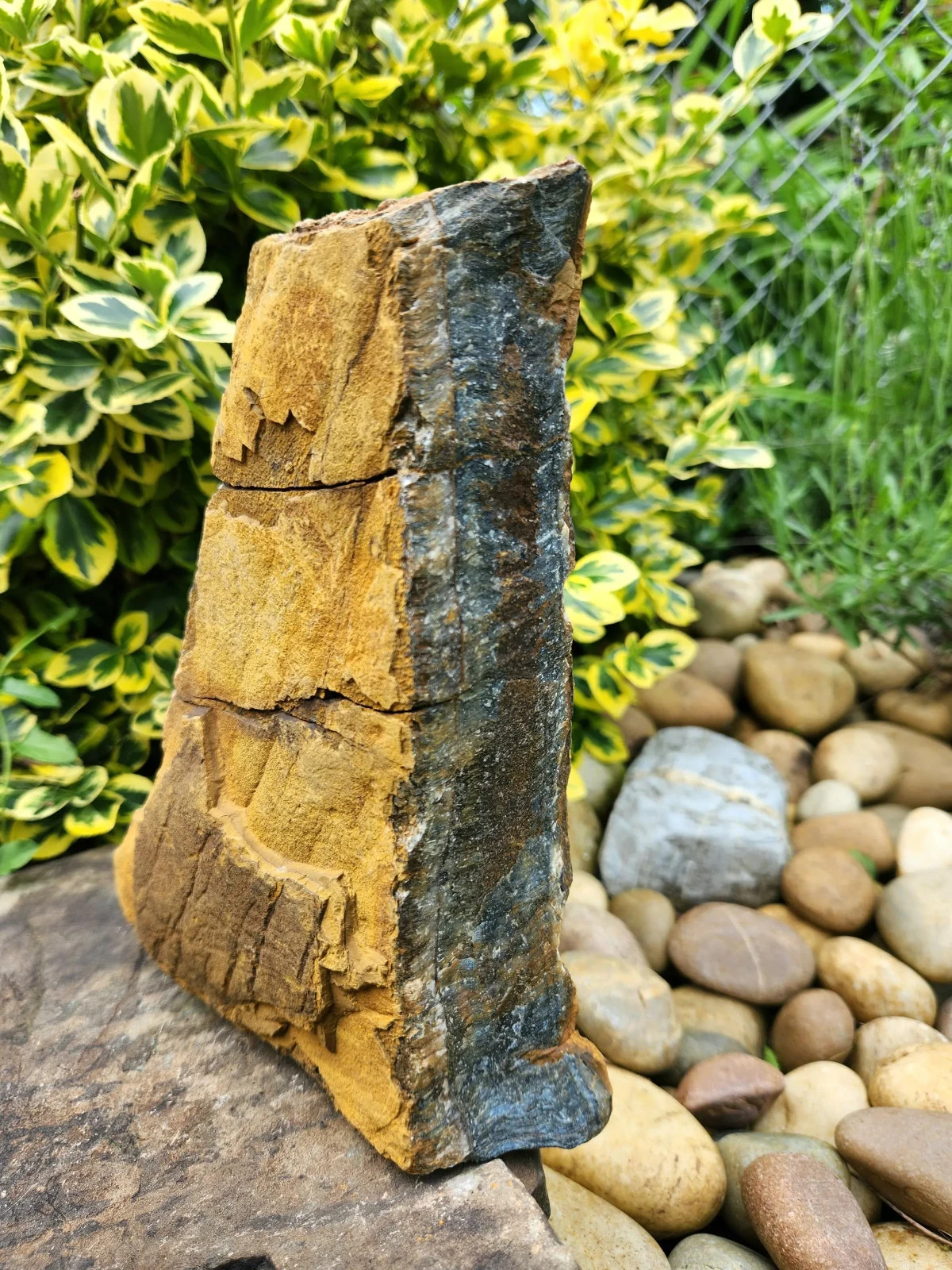 5 lb 11 oz Rough Blue Tiger’s Eye Stone. Ideal for Lapidary. Luminescent